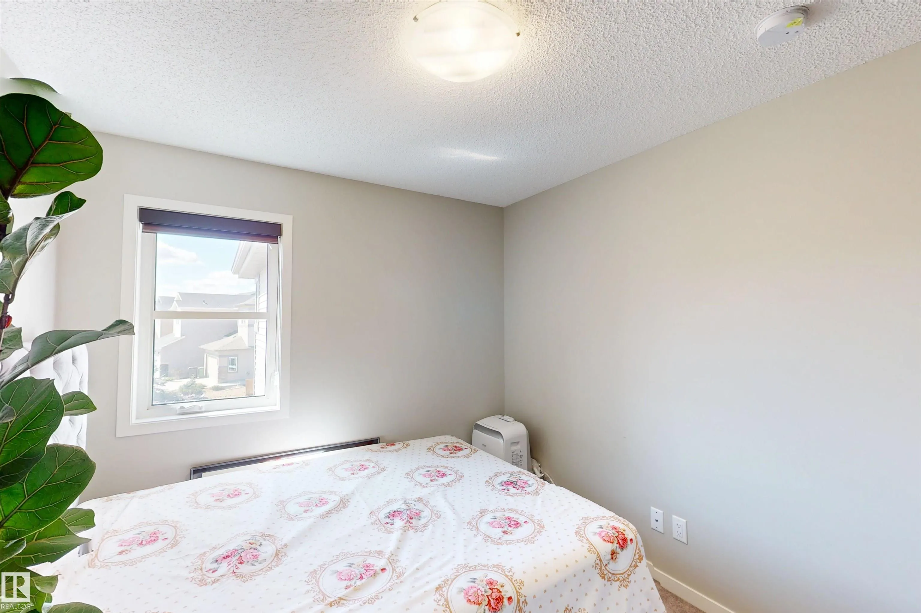 3319 CHECKNITA COMMON