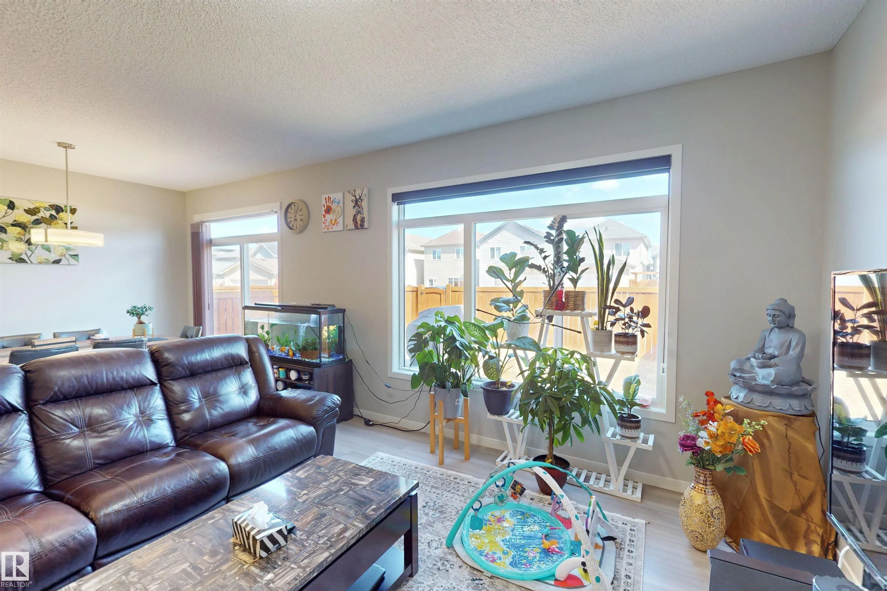 3319 CHECKNITA COMMON