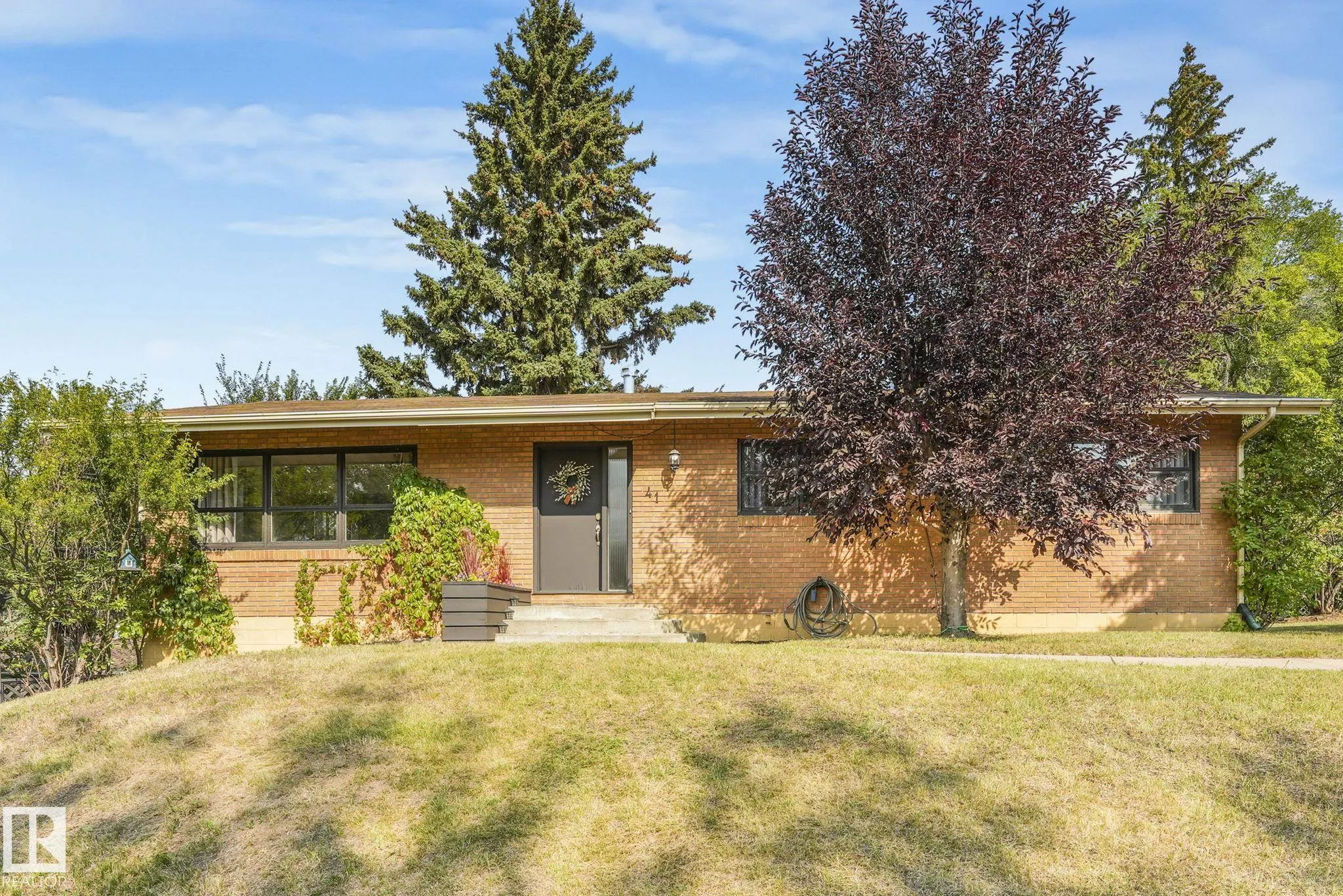 41 Balmoral Drive