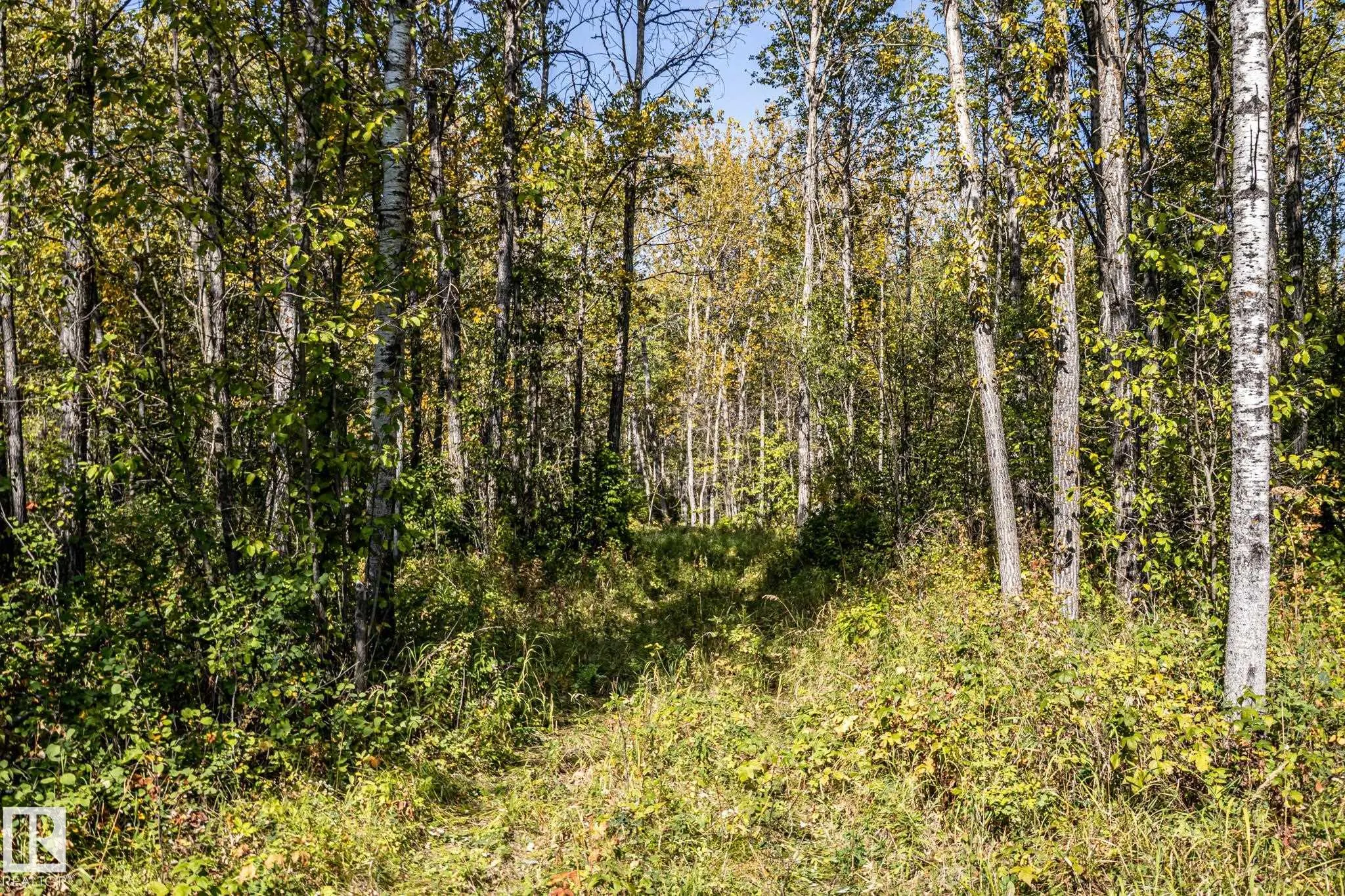 Range rd 154 Twp Rd 604