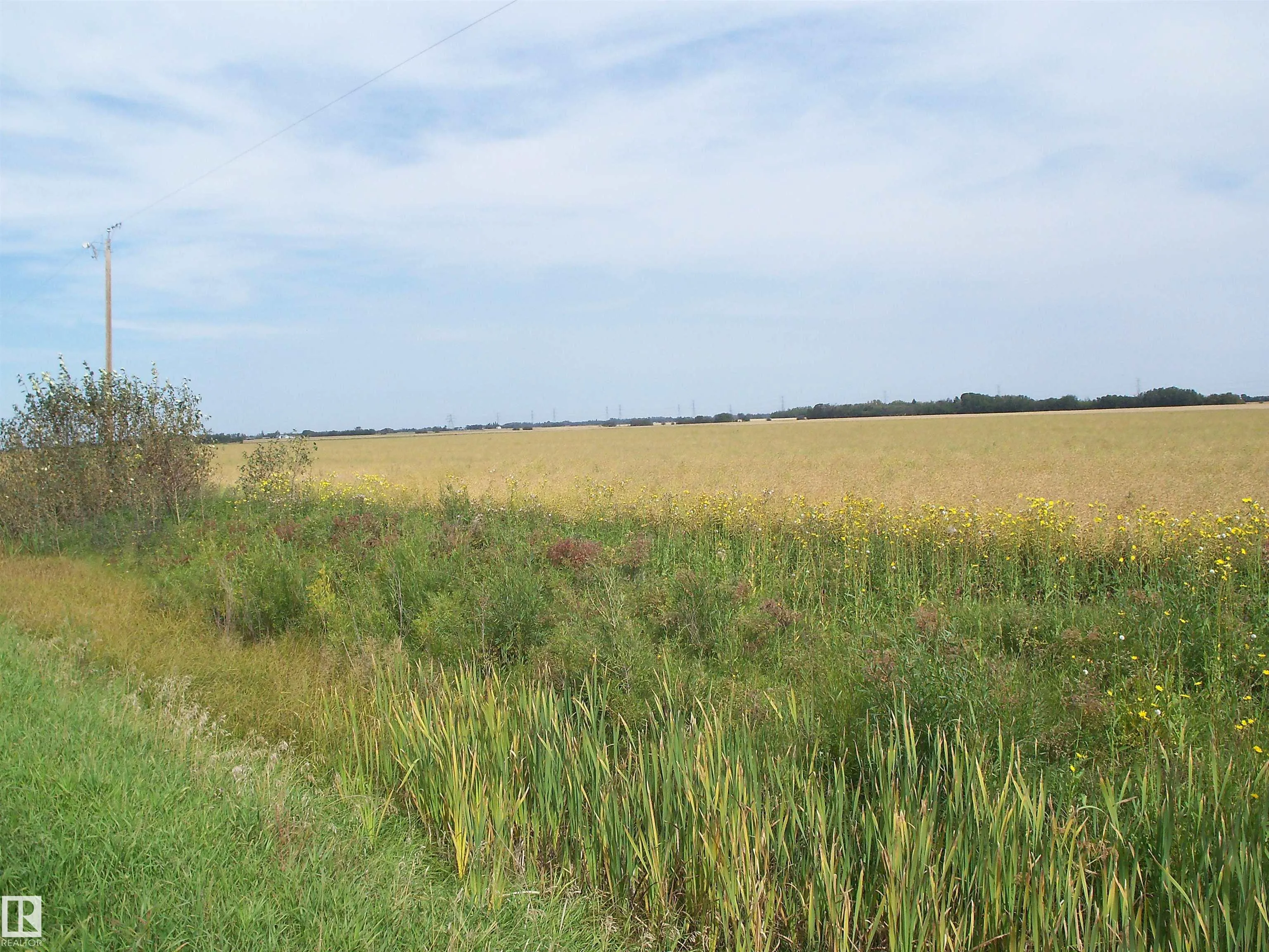 TWP 551 RR 234