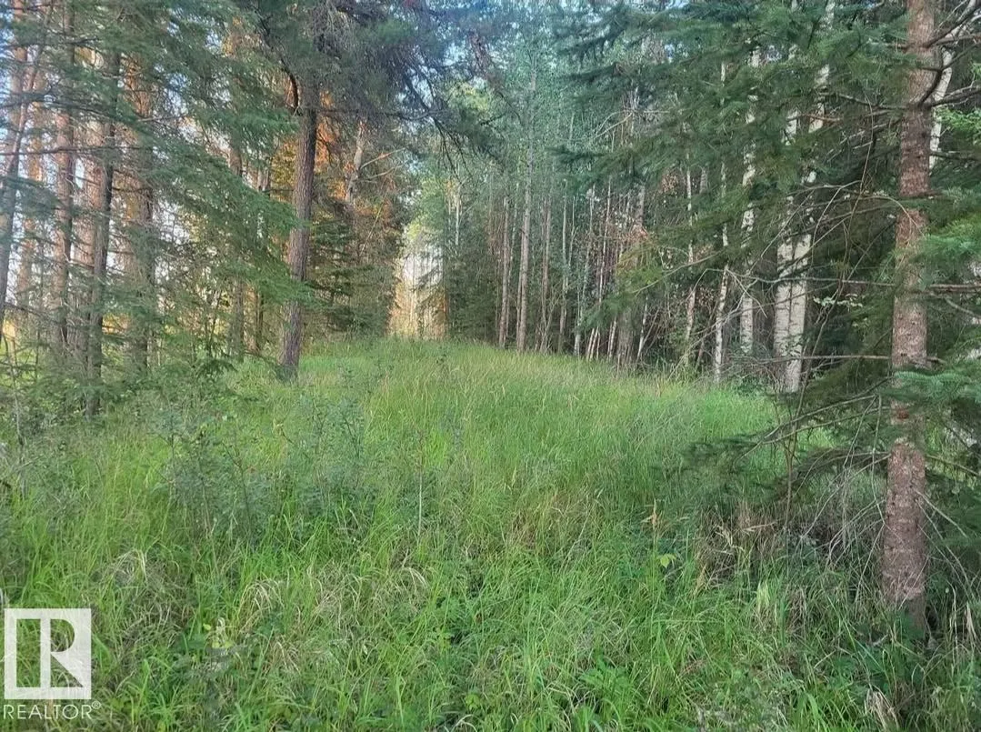 SW-24-53-11-5 Block 1, Lot 5 (RR 111 at Twp 533)