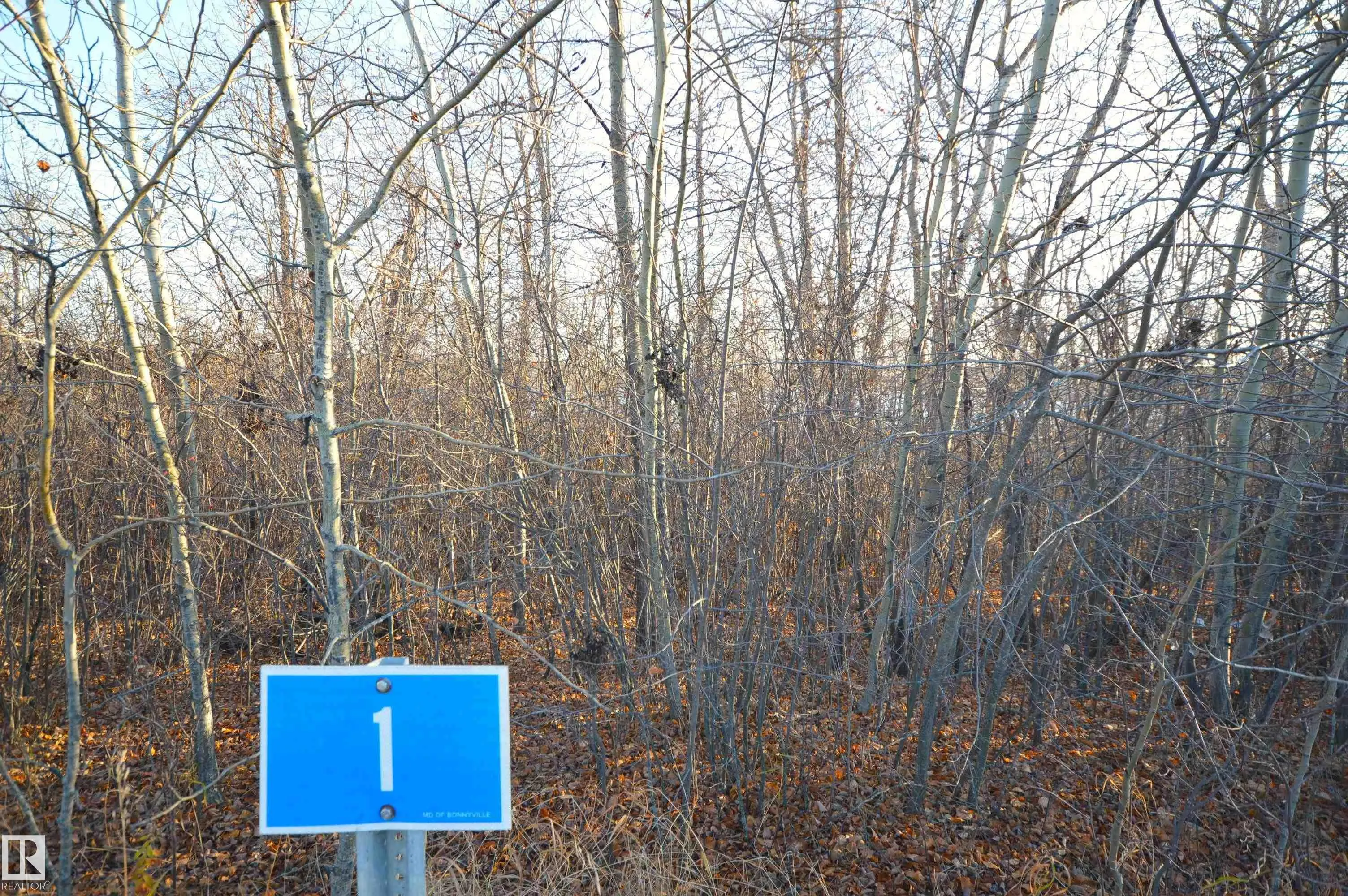 46321 TWP RD 611