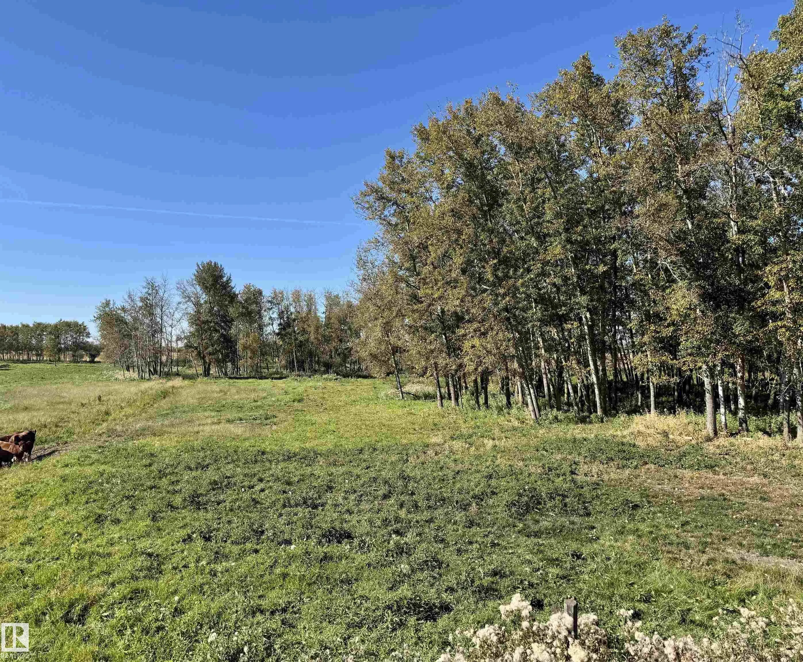Range Road 231 Township Road 510