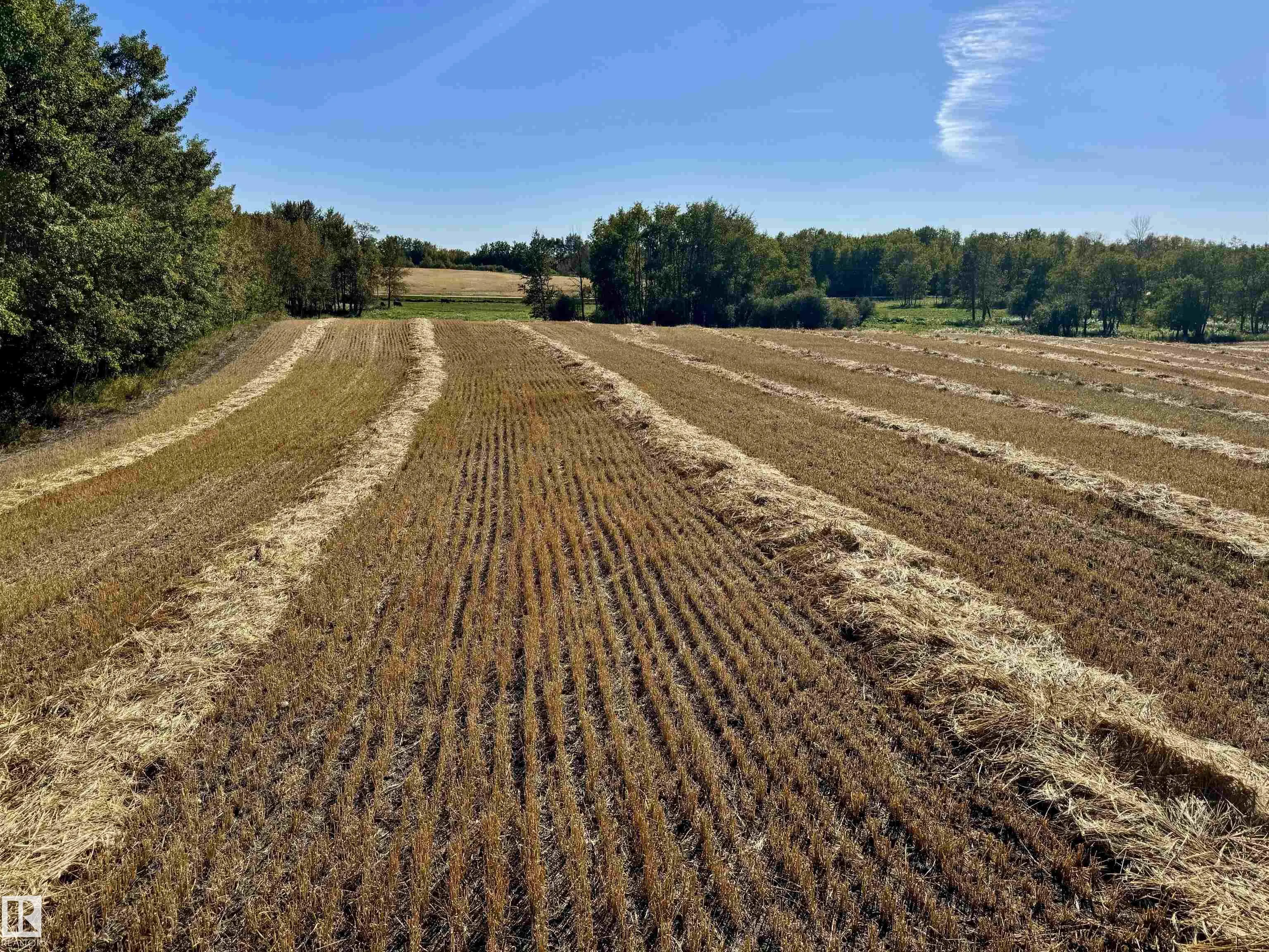 Range Road 231 Township Road 510