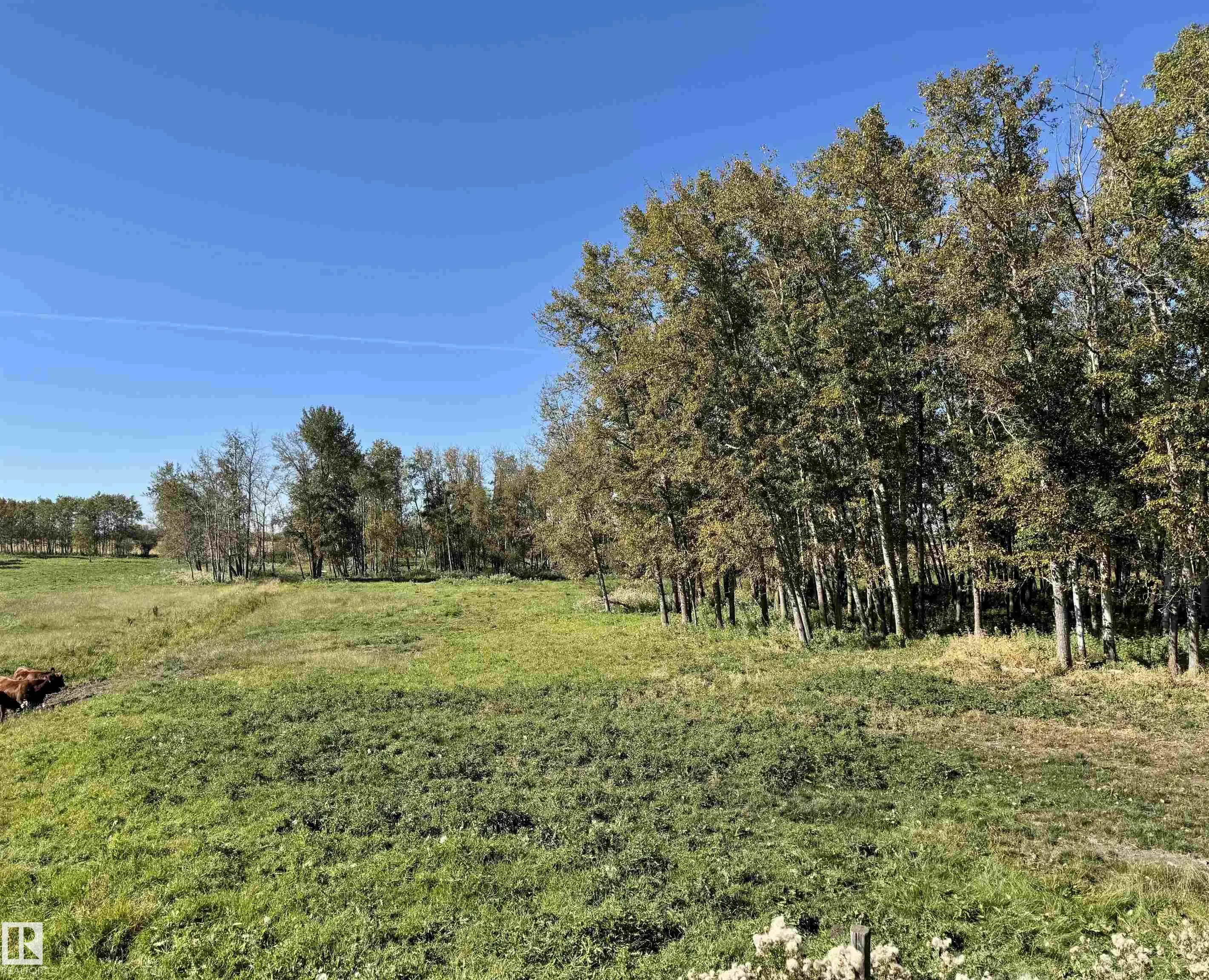 Range Road 231 Township Road 510