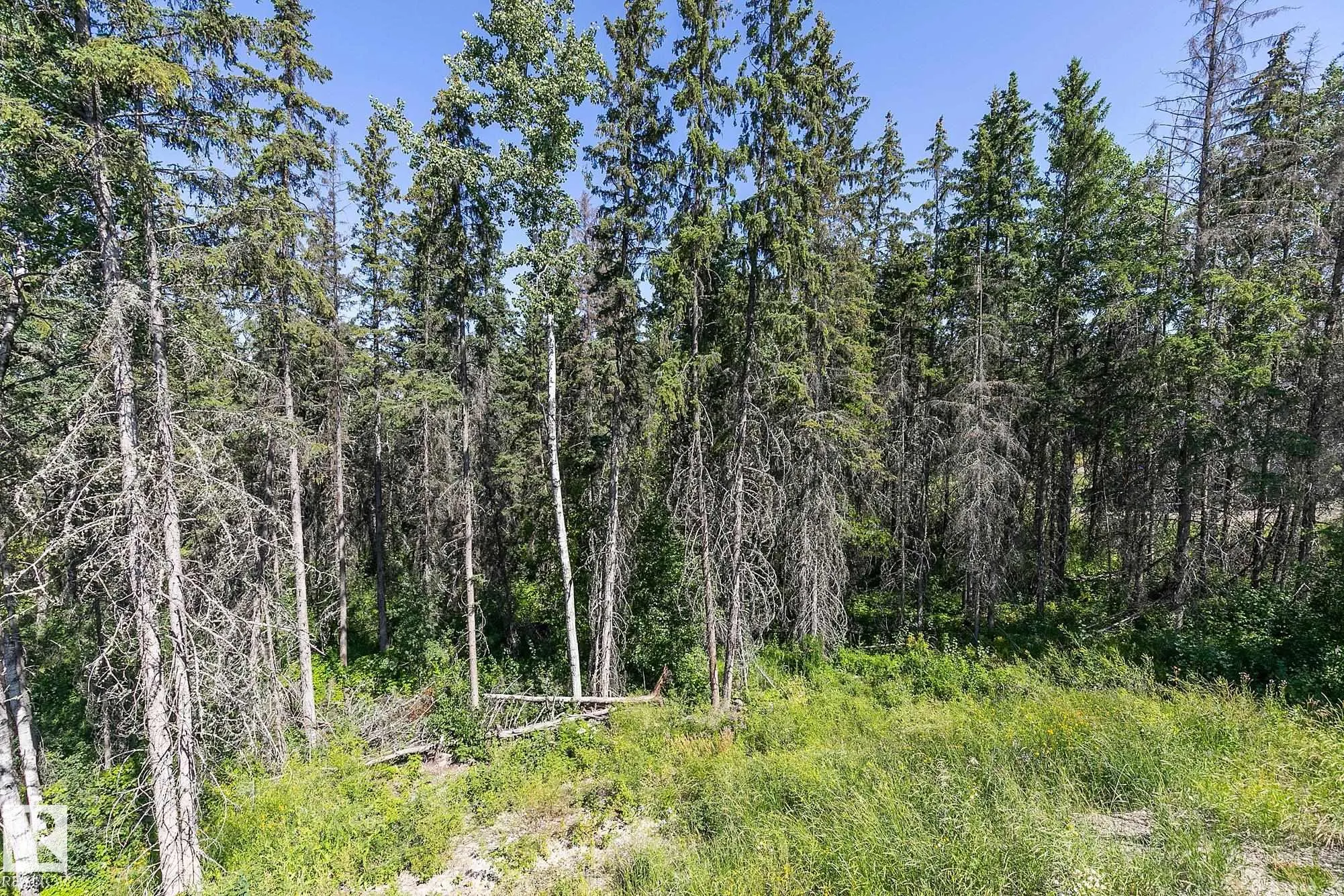 311 55504 RR 13