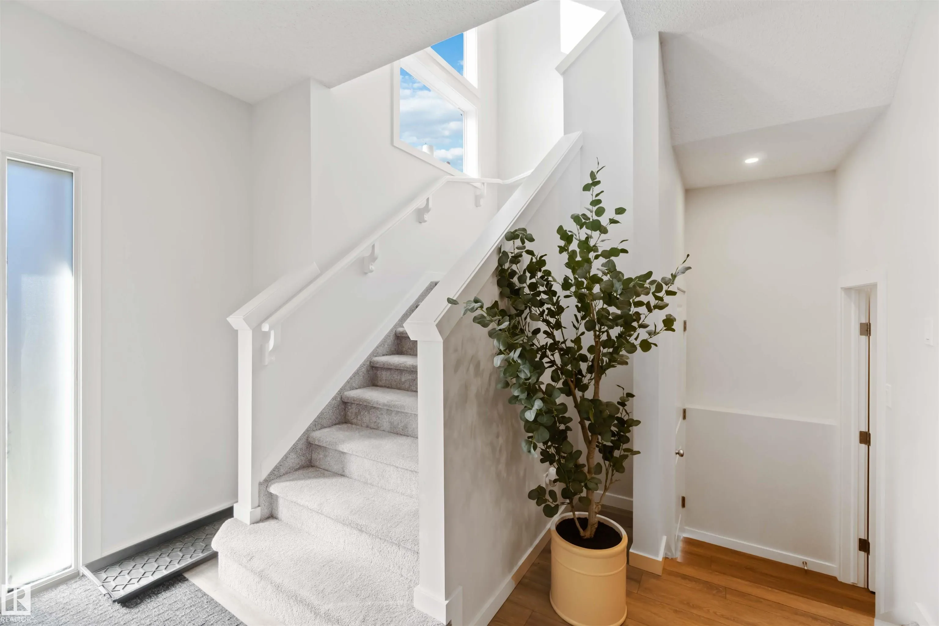 310 BALSAM Link