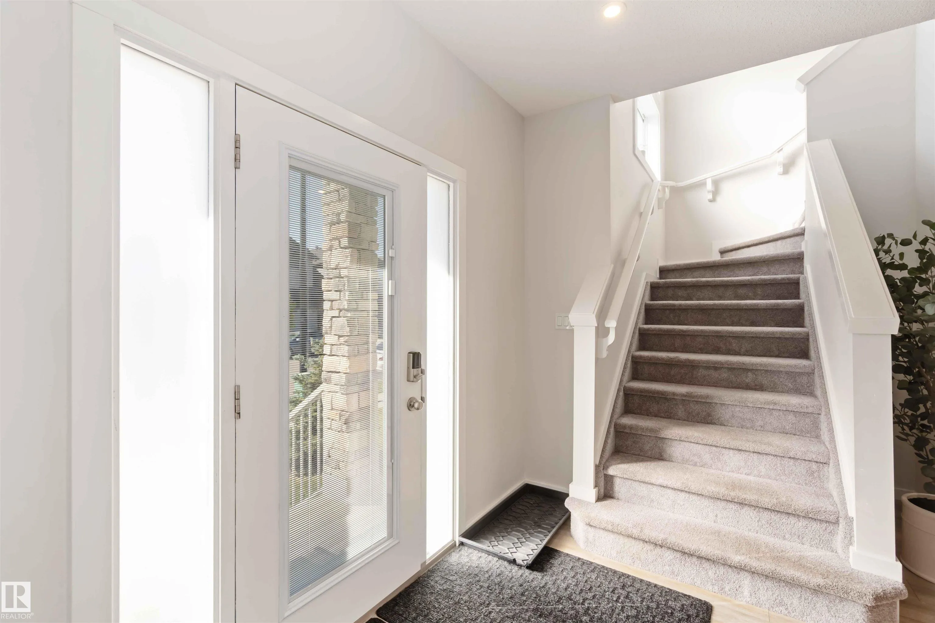 310 BALSAM Link