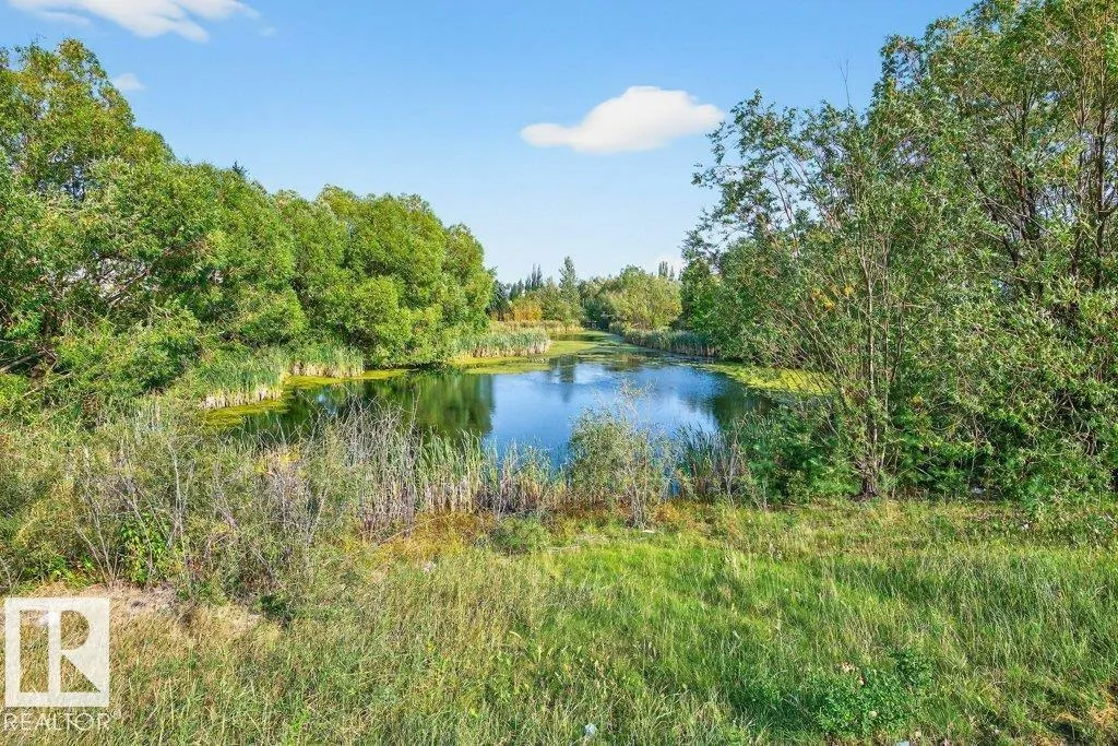 970 BLACKMUD CREEK Crescent