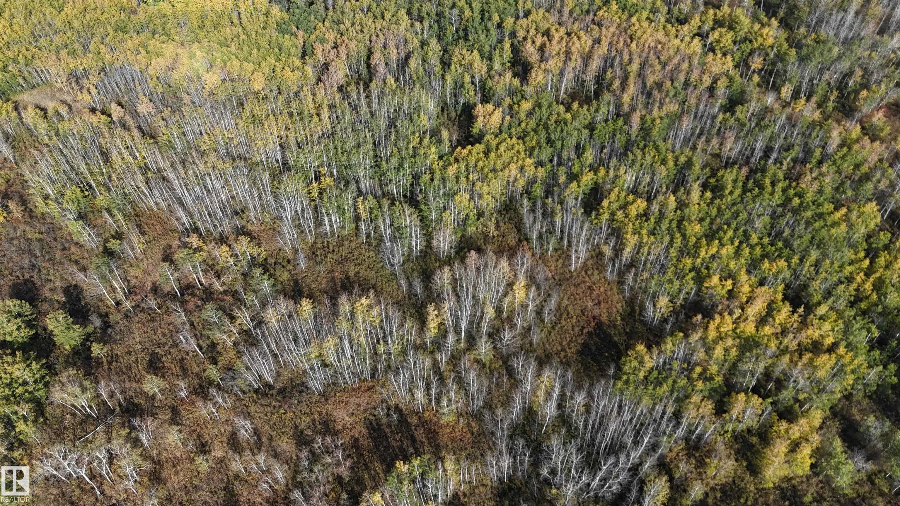 Twp rd 554A Range Rd 81