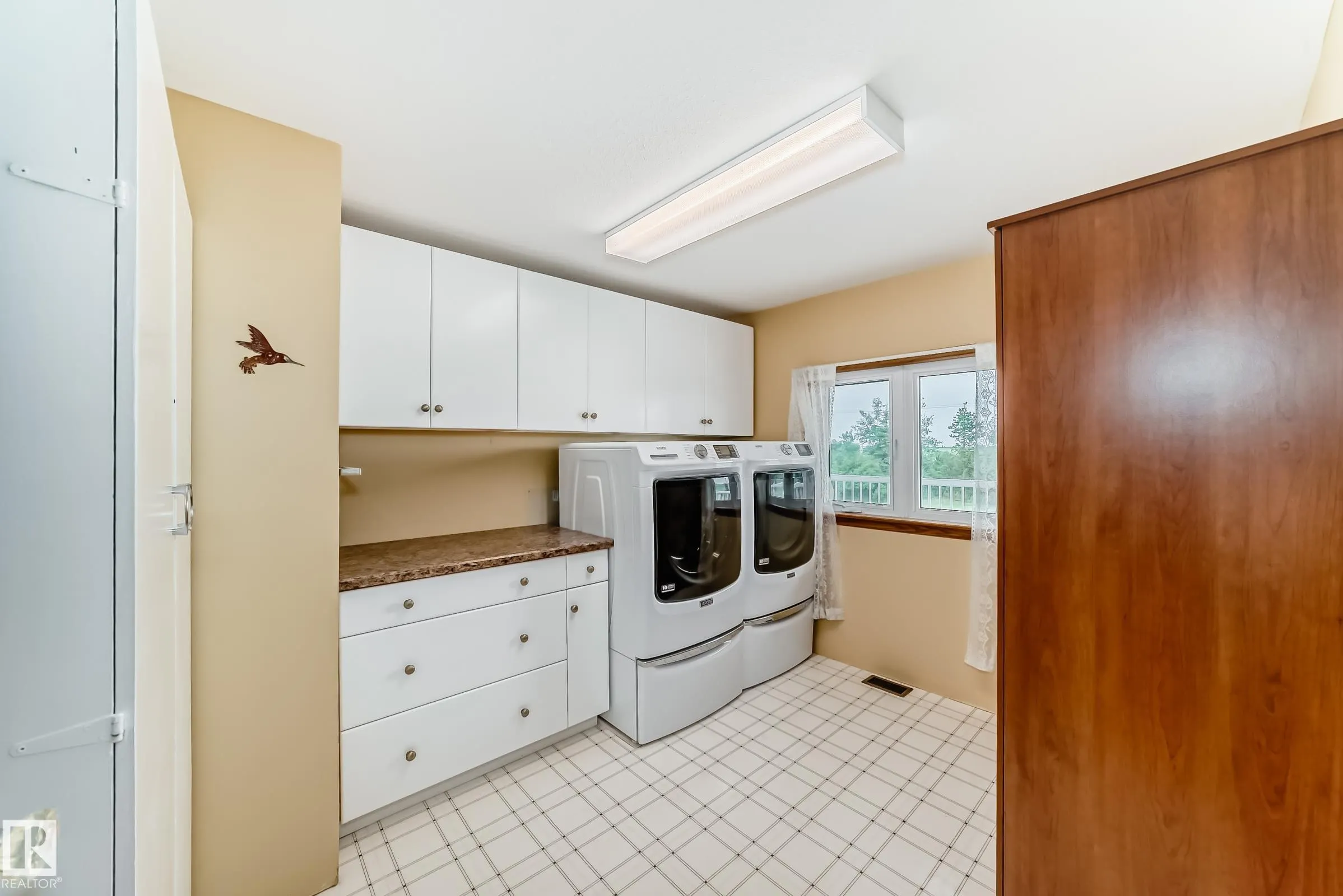 25027 TWP RD 484