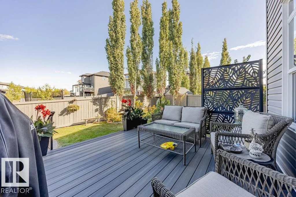 1019 COOPERS HAWK Link