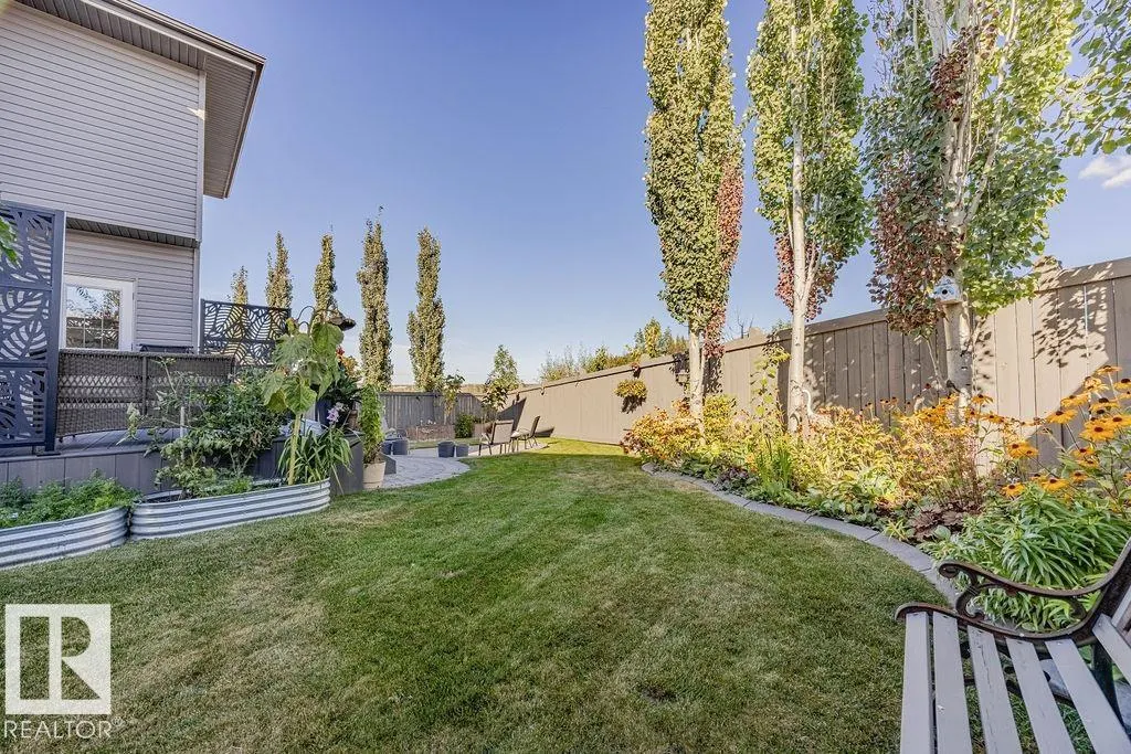 1019 COOPERS HAWK Link
