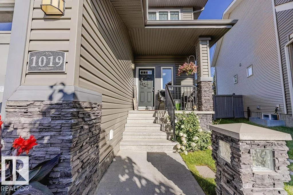 1019 COOPERS HAWK Link