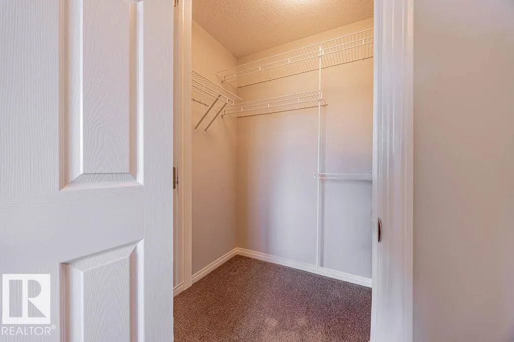 1019 COOPERS HAWK Link