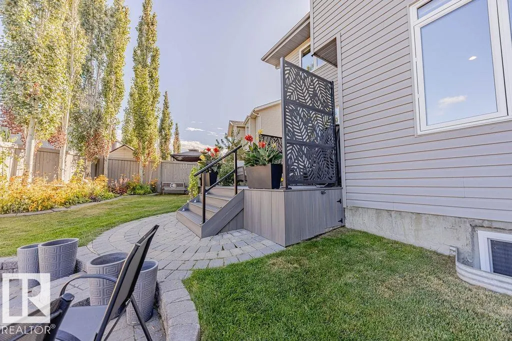 1019 COOPERS HAWK Link