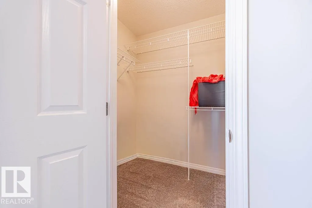 1019 COOPERS HAWK Link