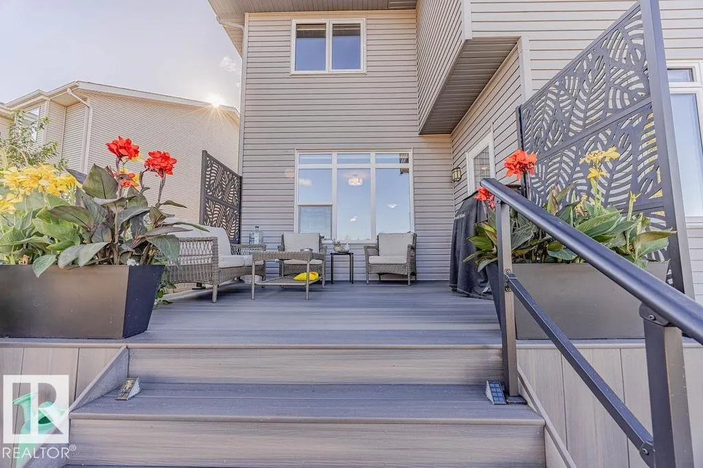 1019 COOPERS HAWK Link