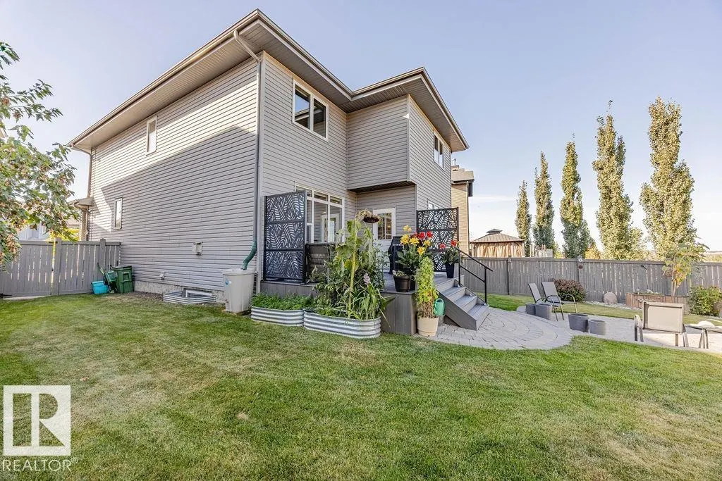 1019 COOPERS HAWK Link