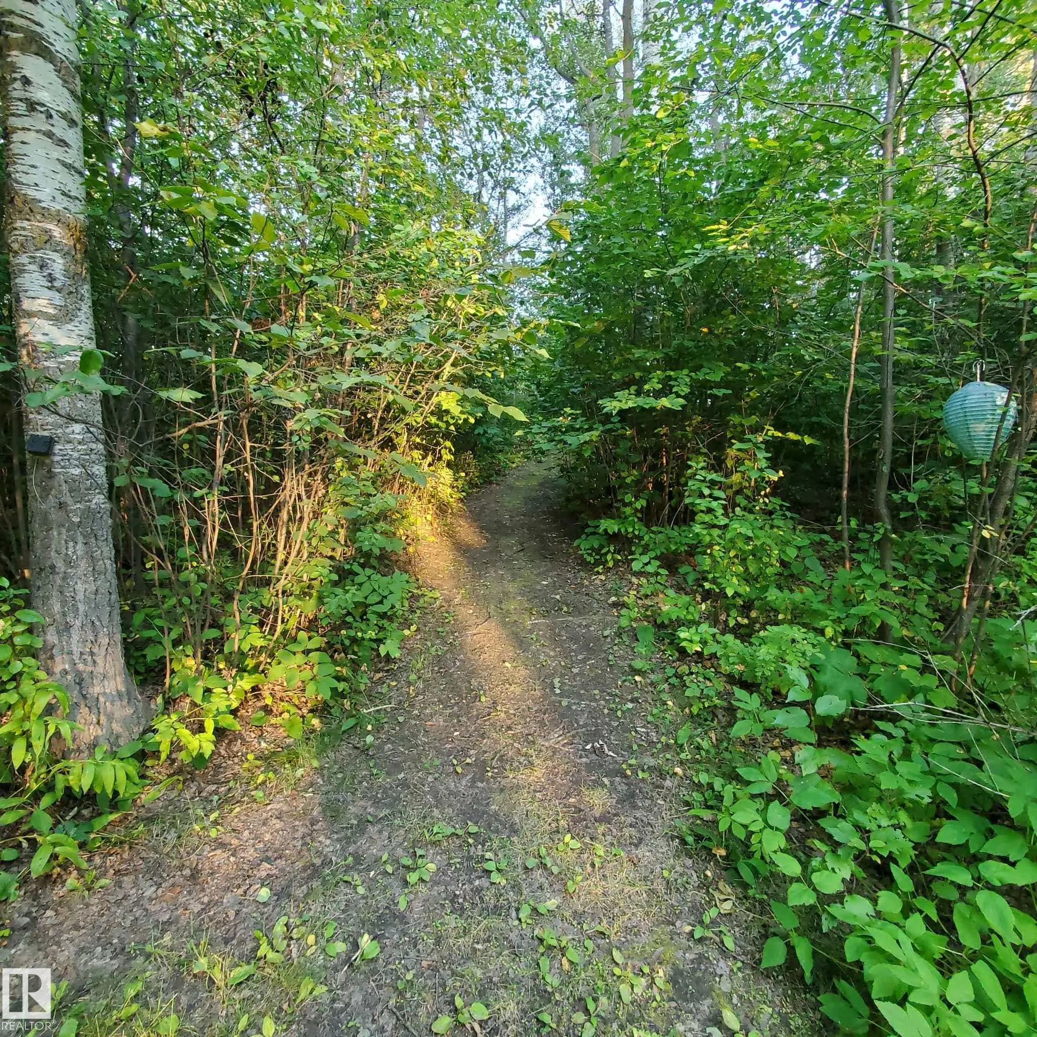 53319 RGE ROAD 14