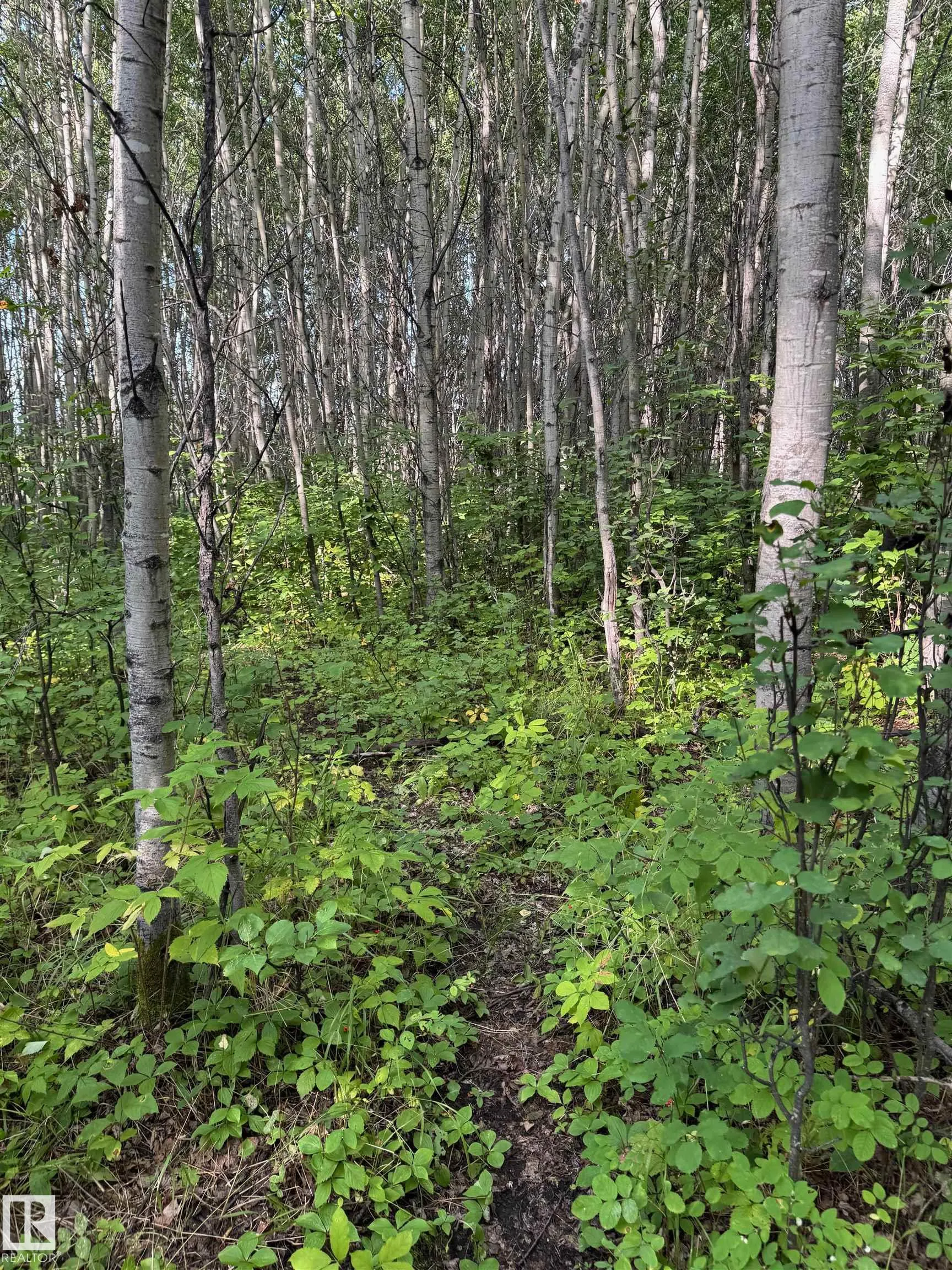 on Twp Rd 505