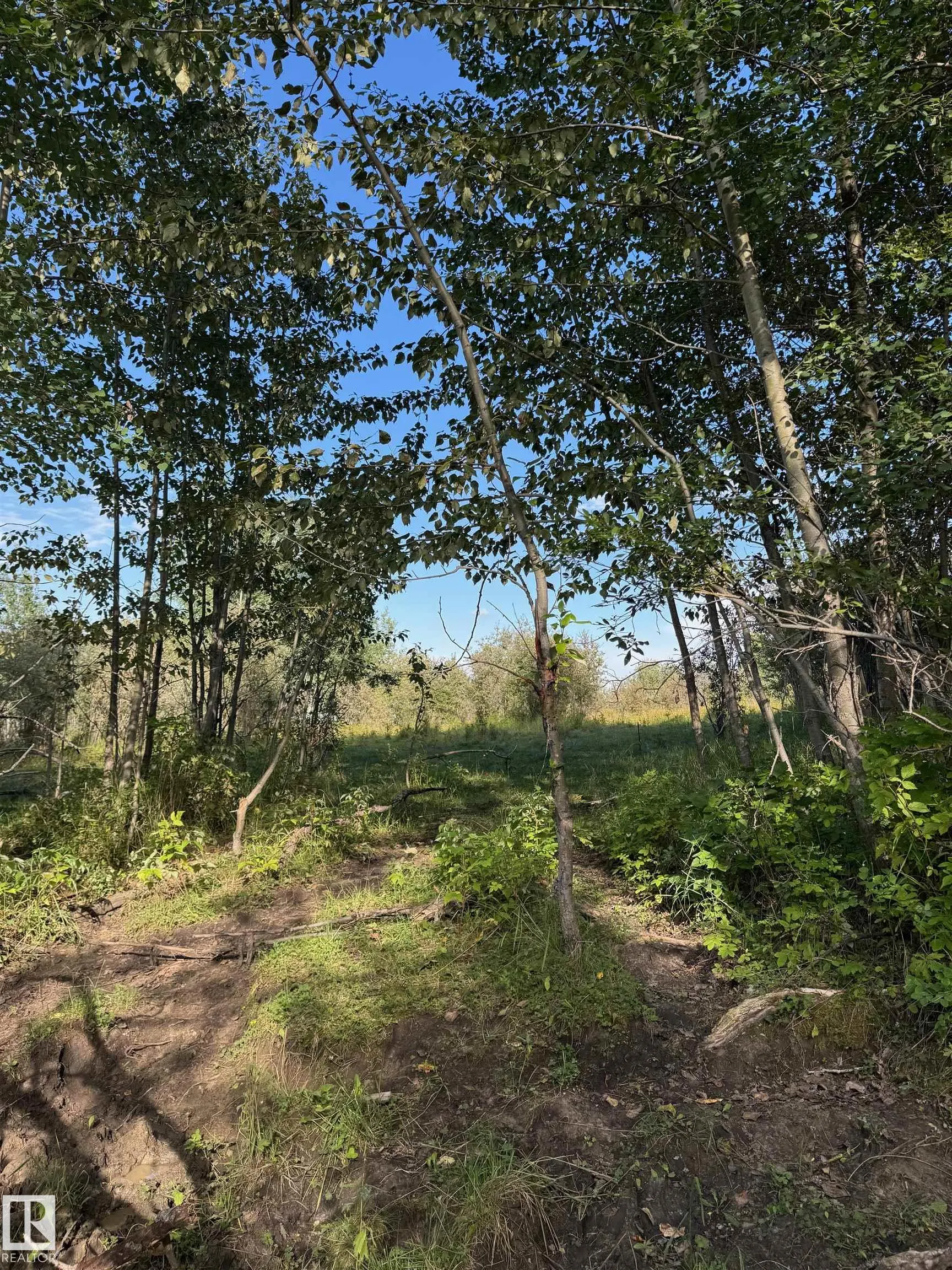 on Twp Rd 505