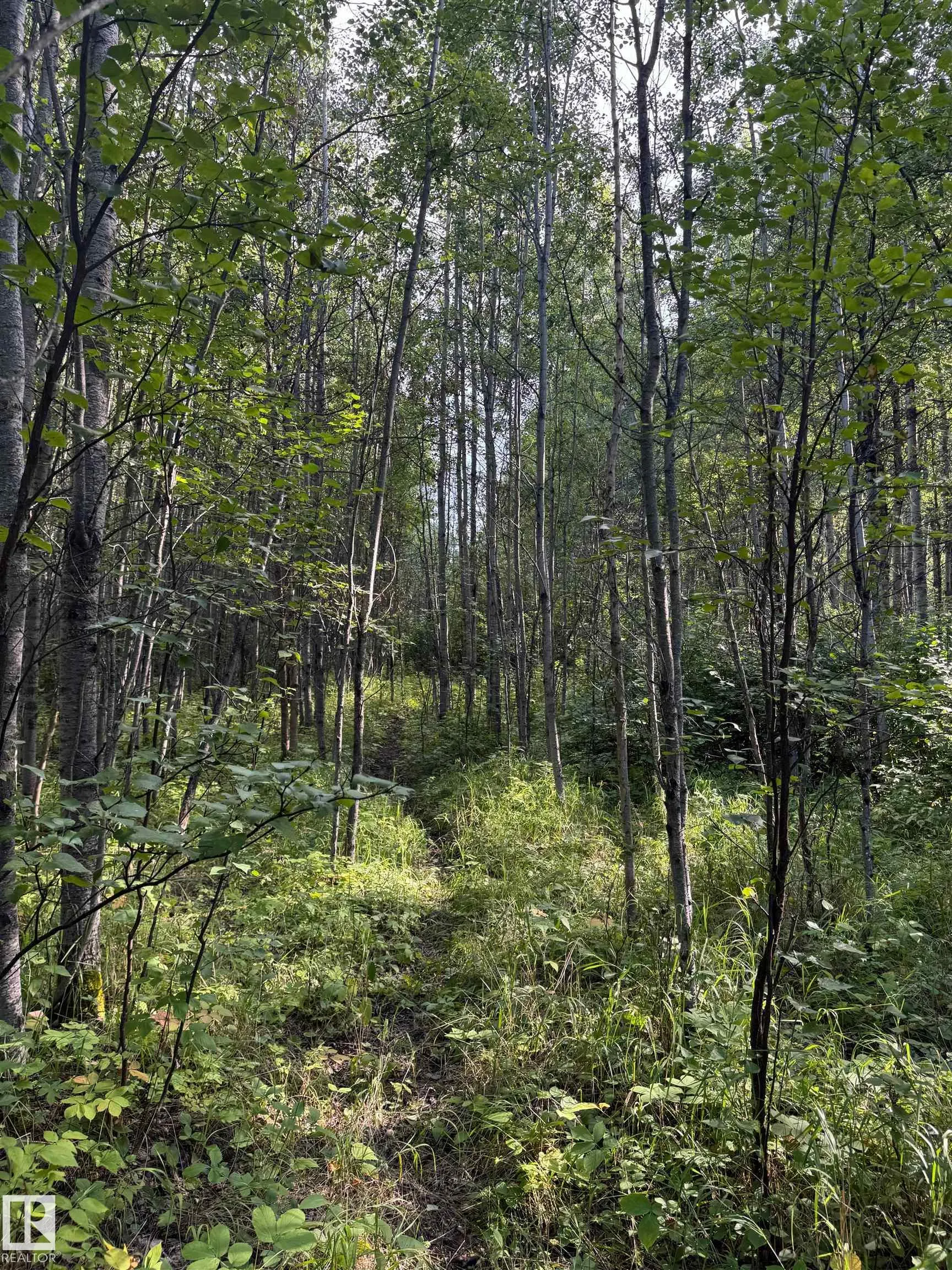 on Twp Rd 505