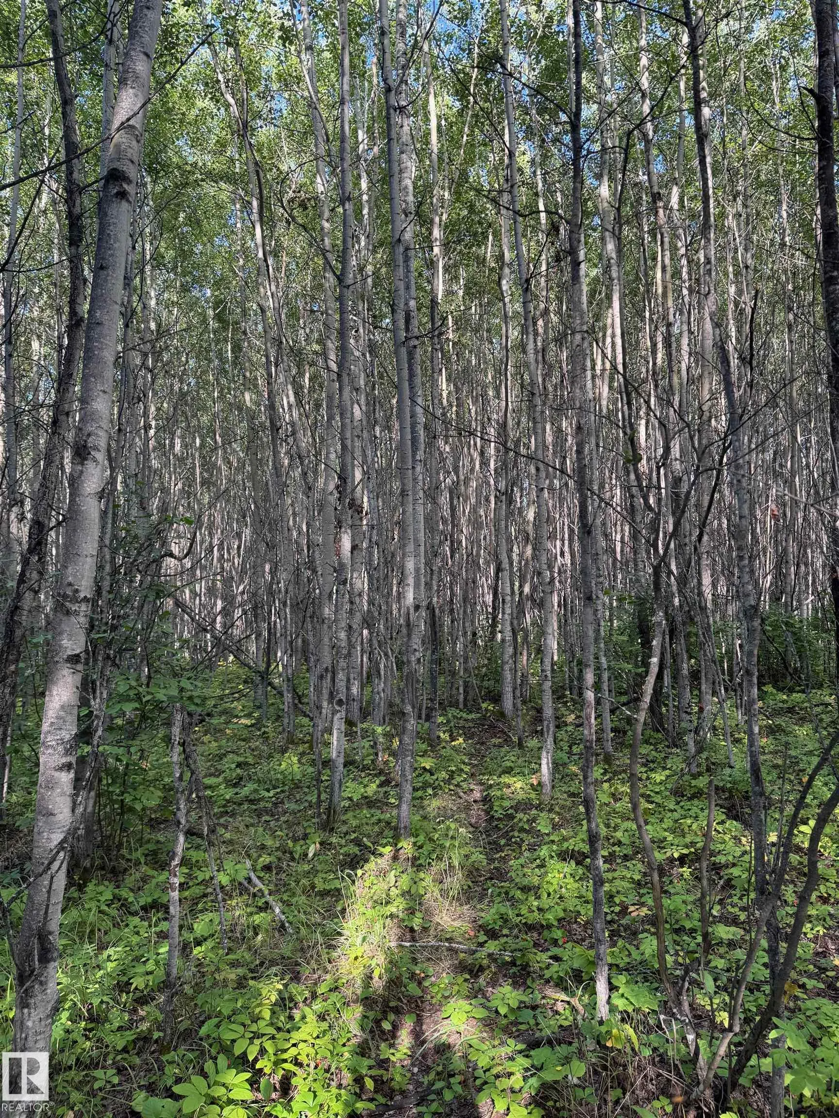 on Twp Rd 505