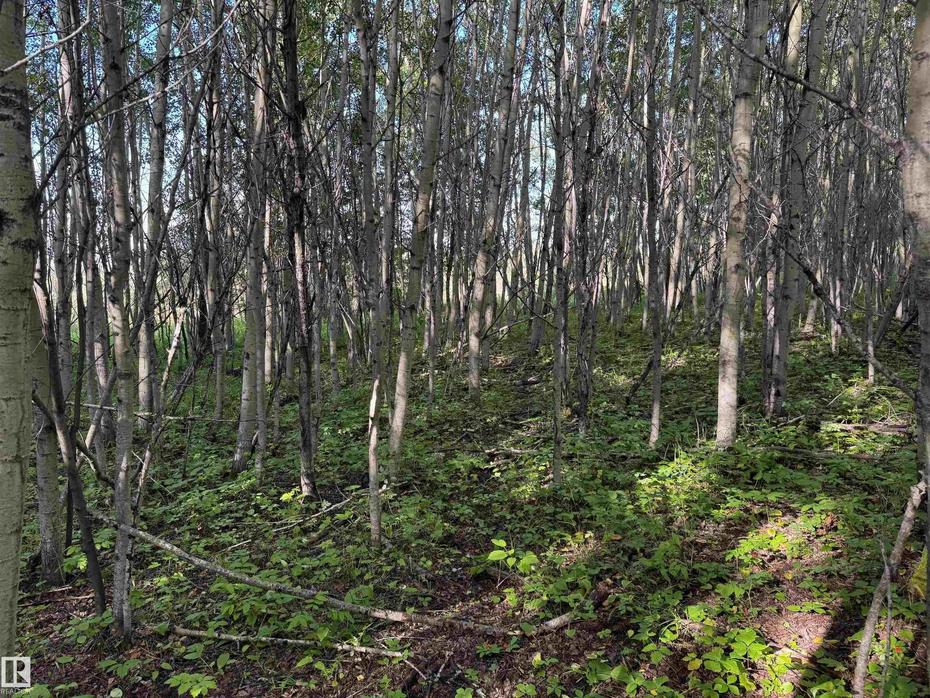 on Twp Rd 505
