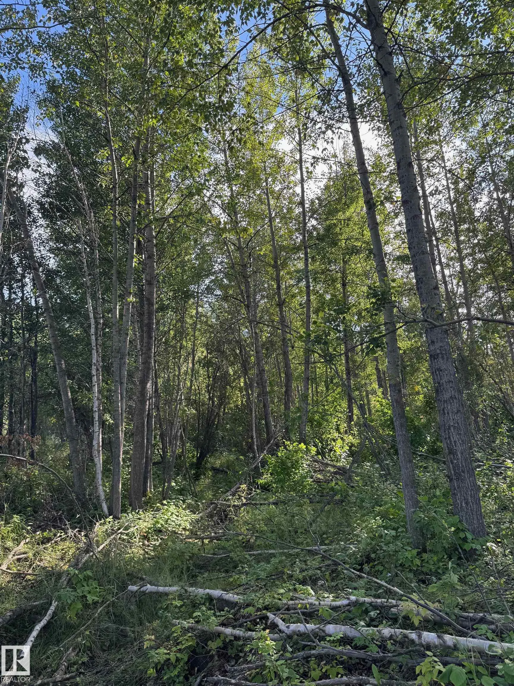 on Twp Rd 505