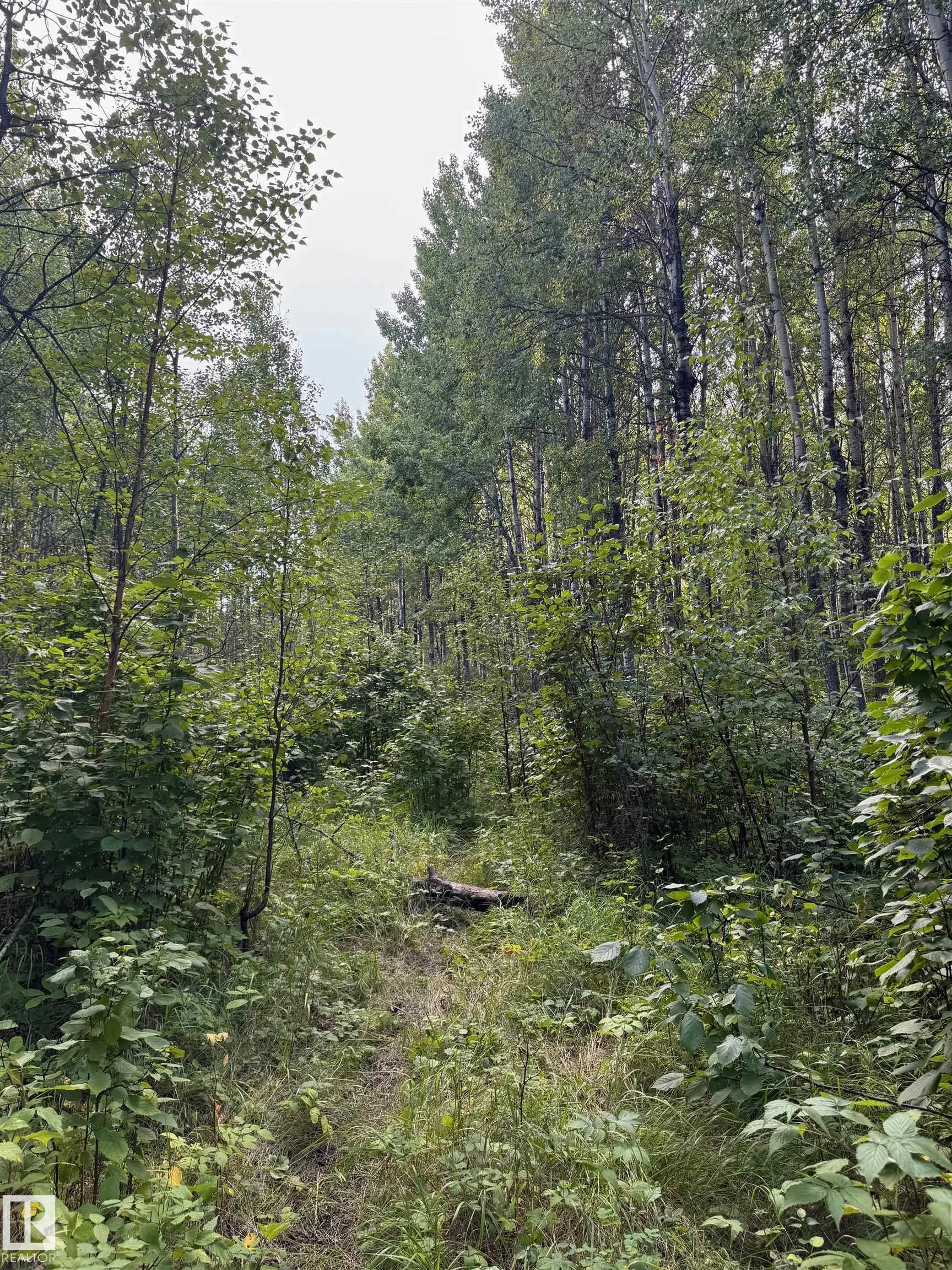 on Twp Rd 505