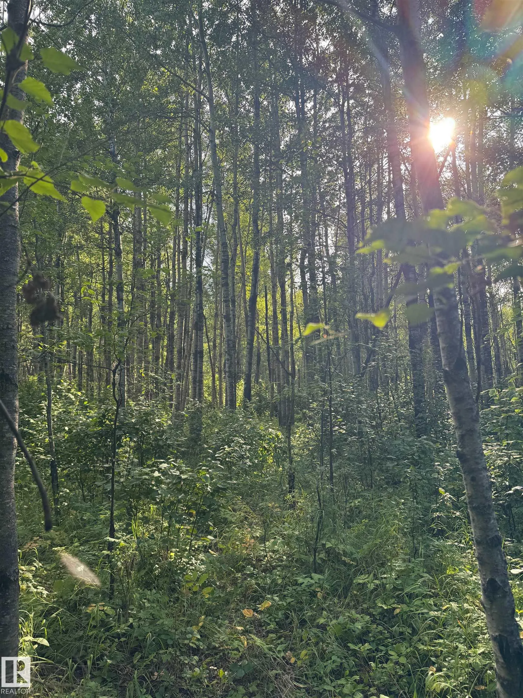 on Twp Rd 505