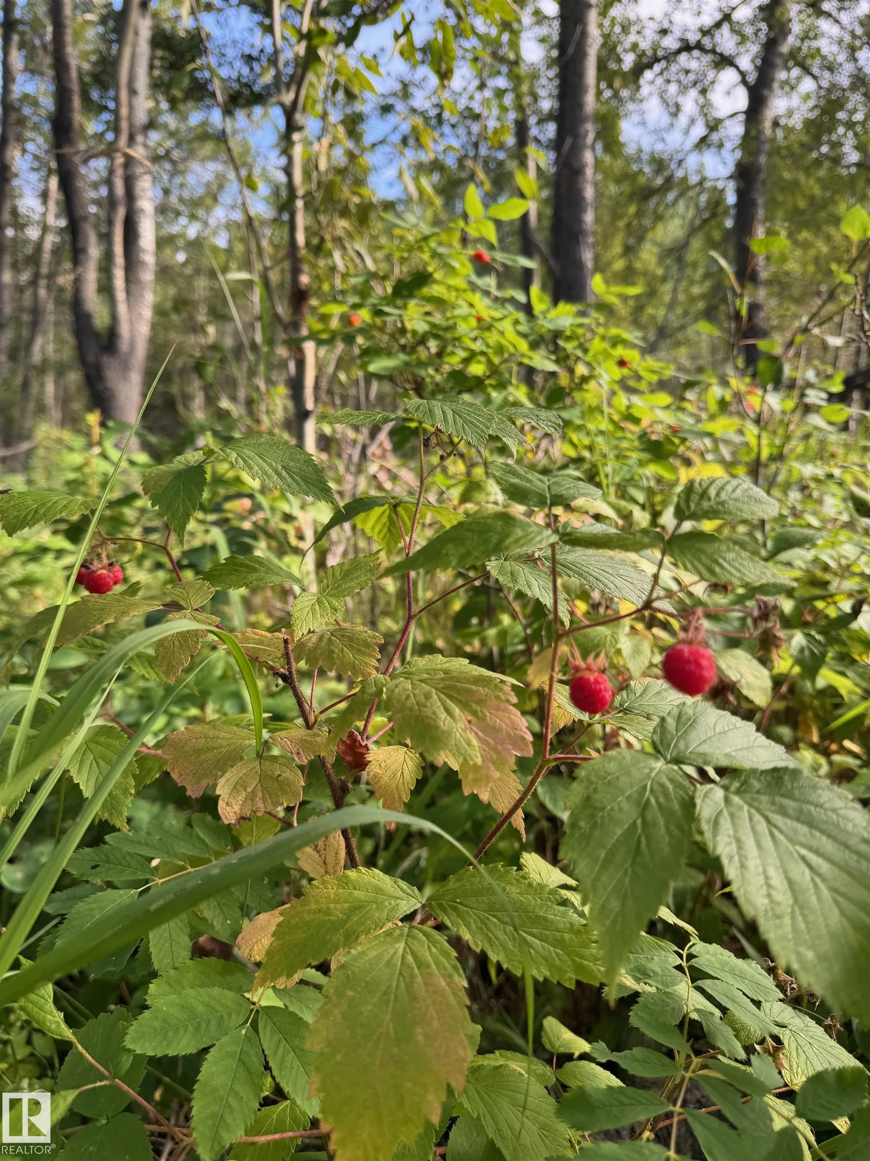on Twp Rd 505