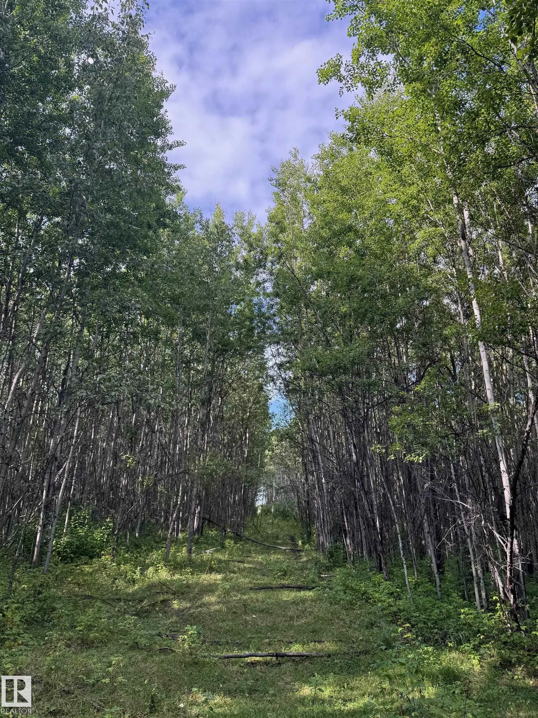 on Twp Rd 505