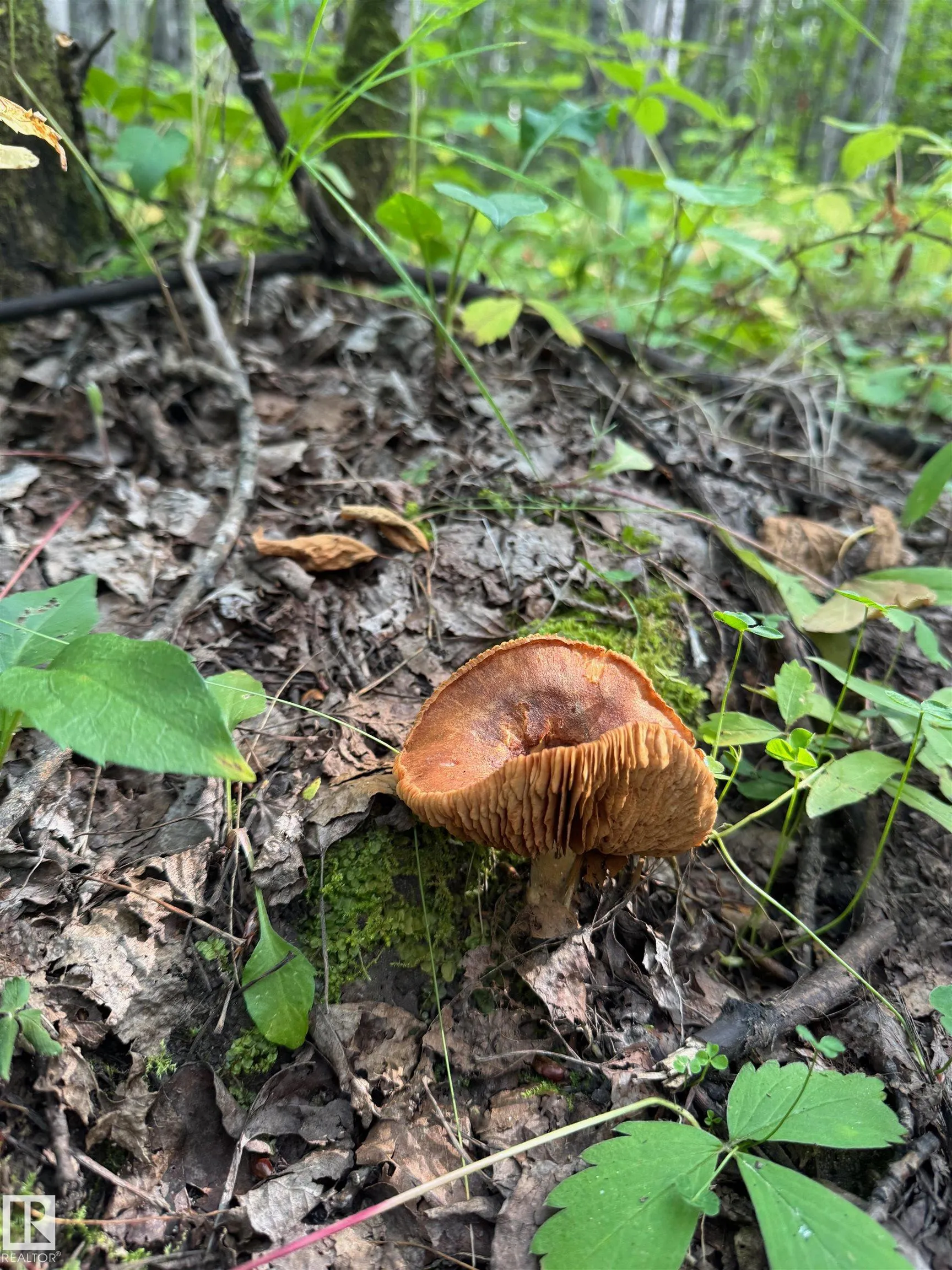 on Twp Rd 505