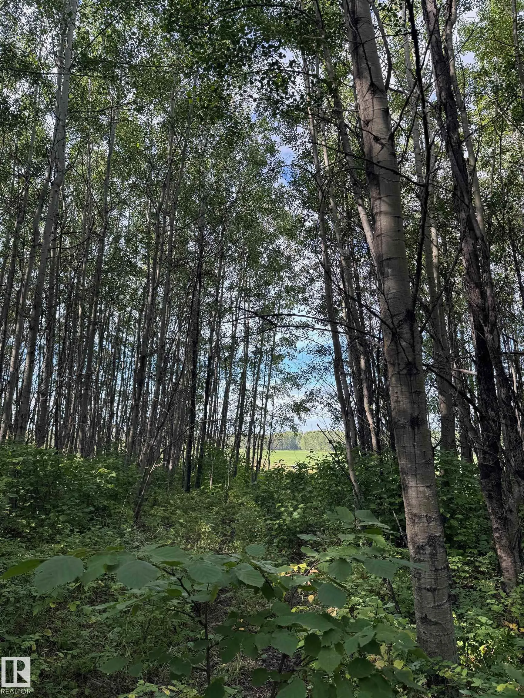 on Twp Rd 505