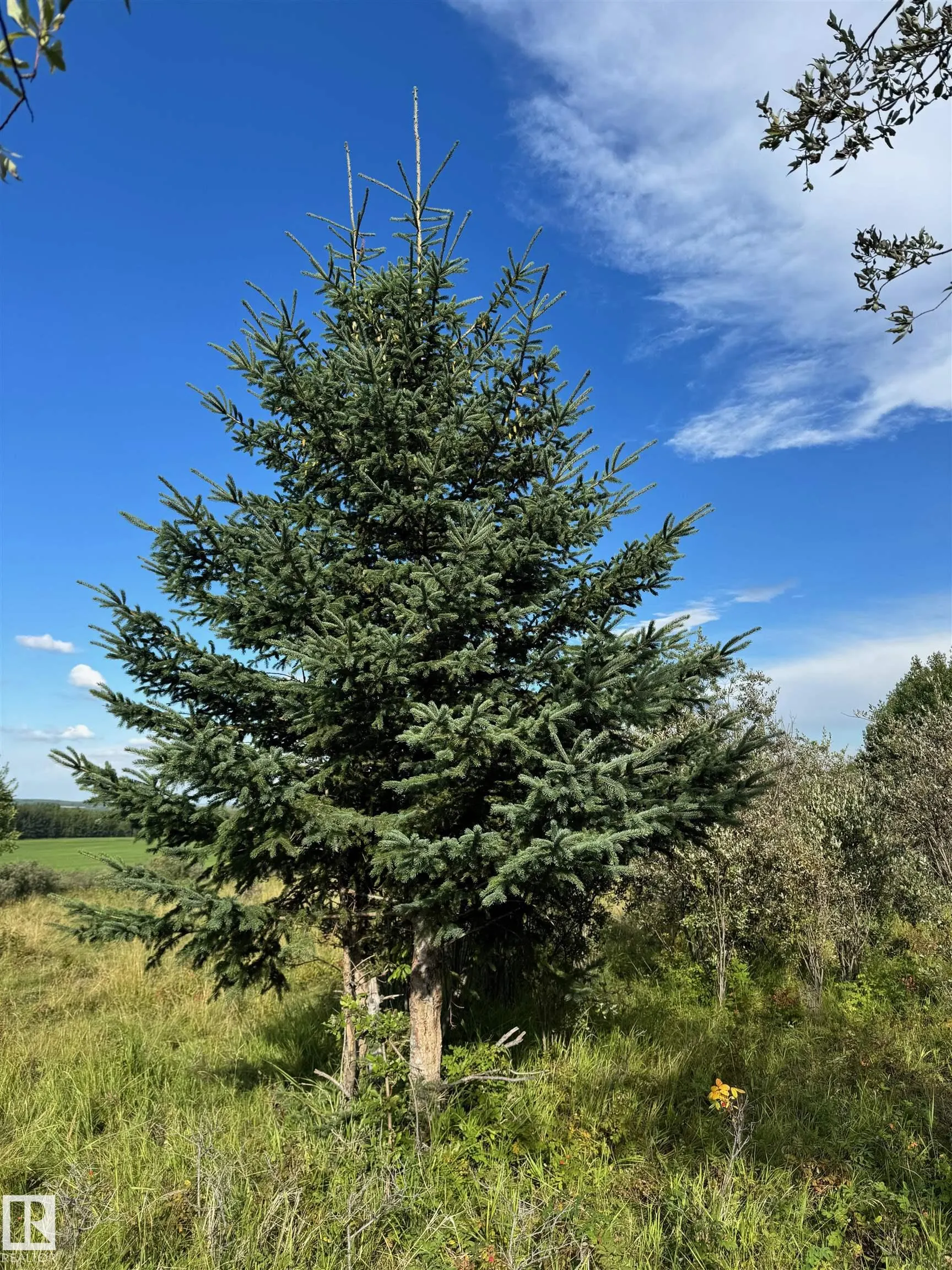 on Twp Rd 505