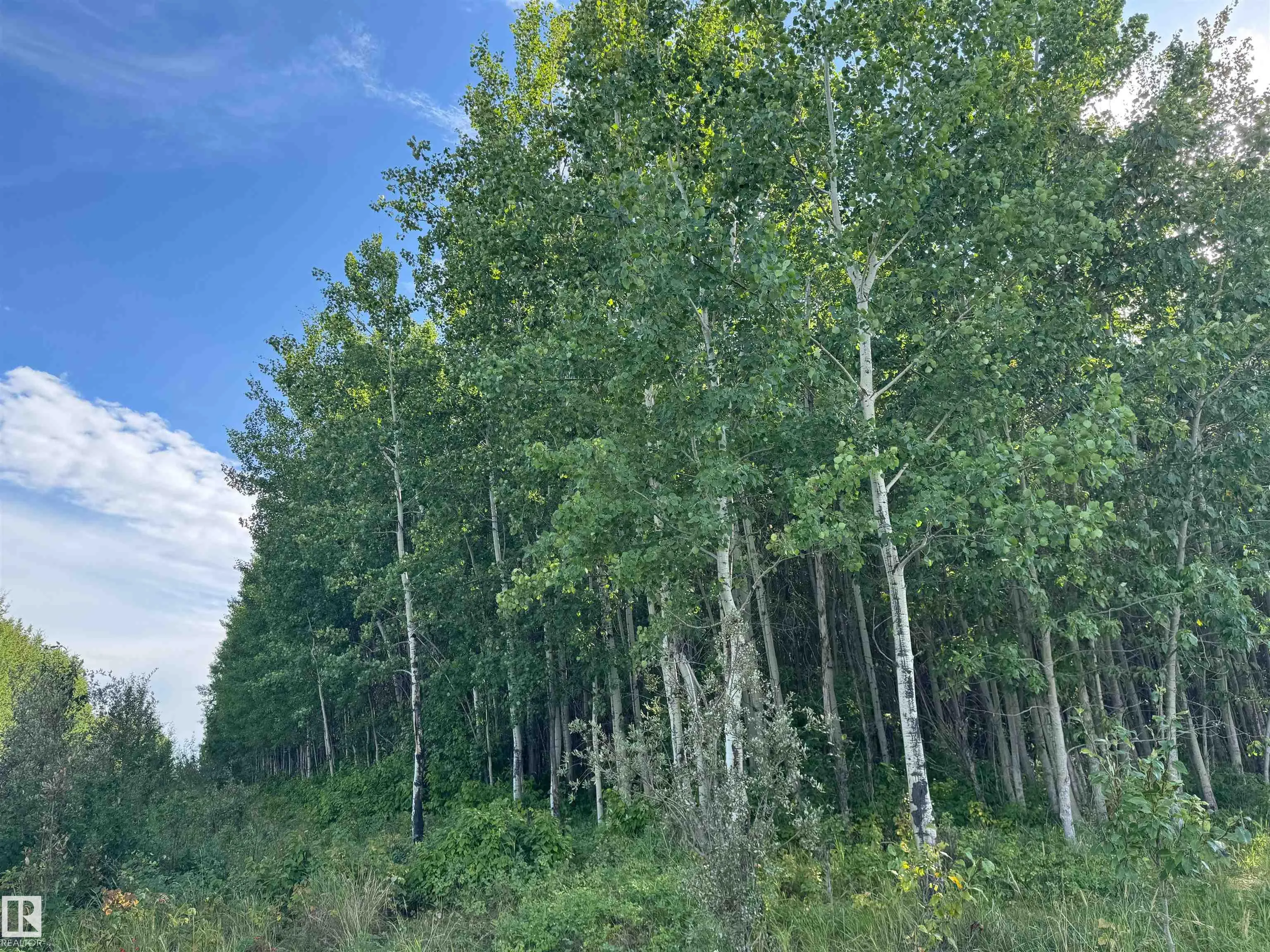 on Twp Rd 505