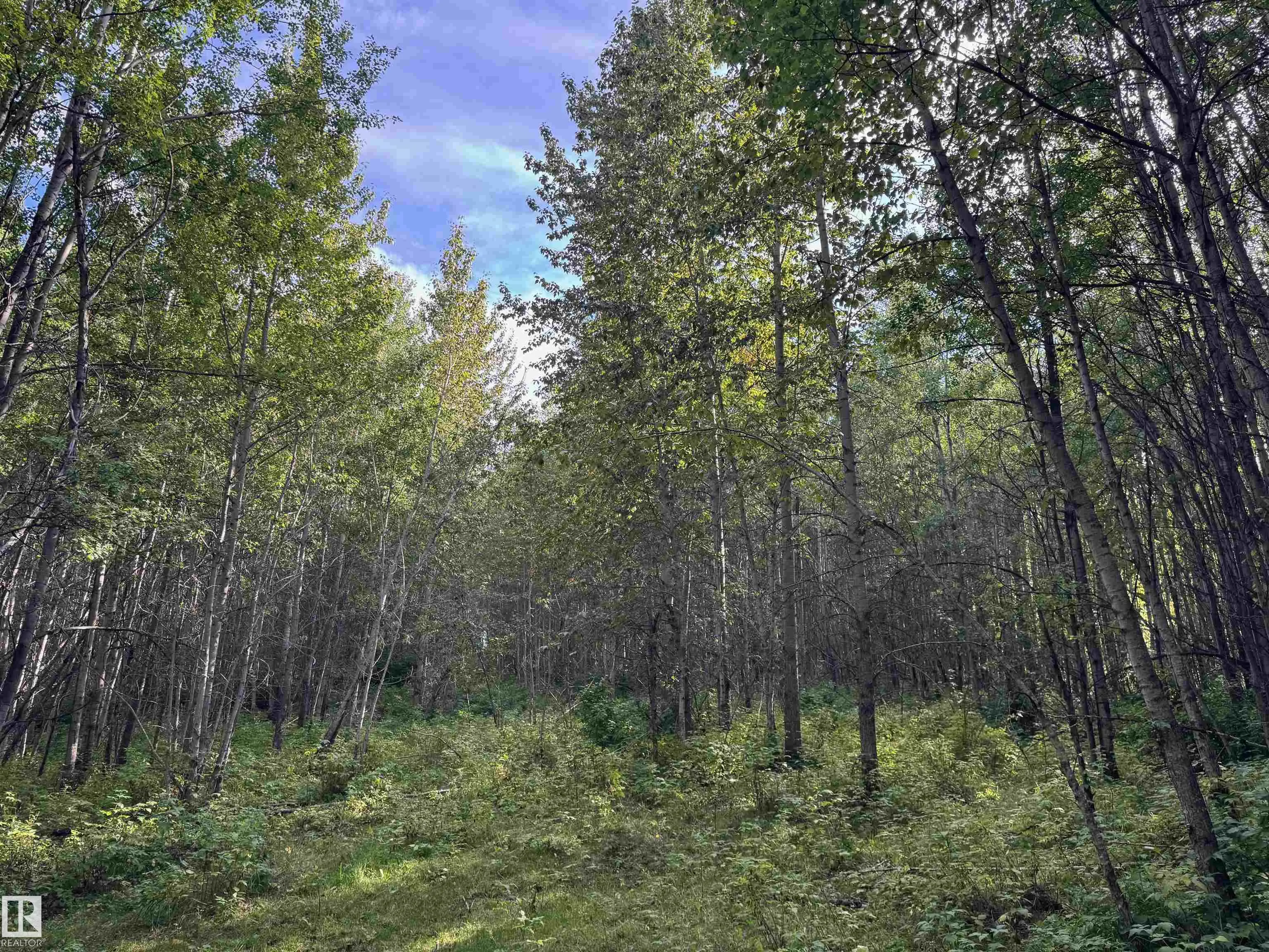 on Twp Rd 505