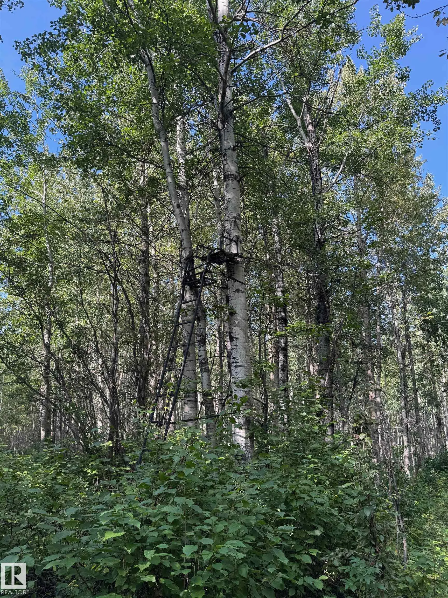on Twp Rd 505