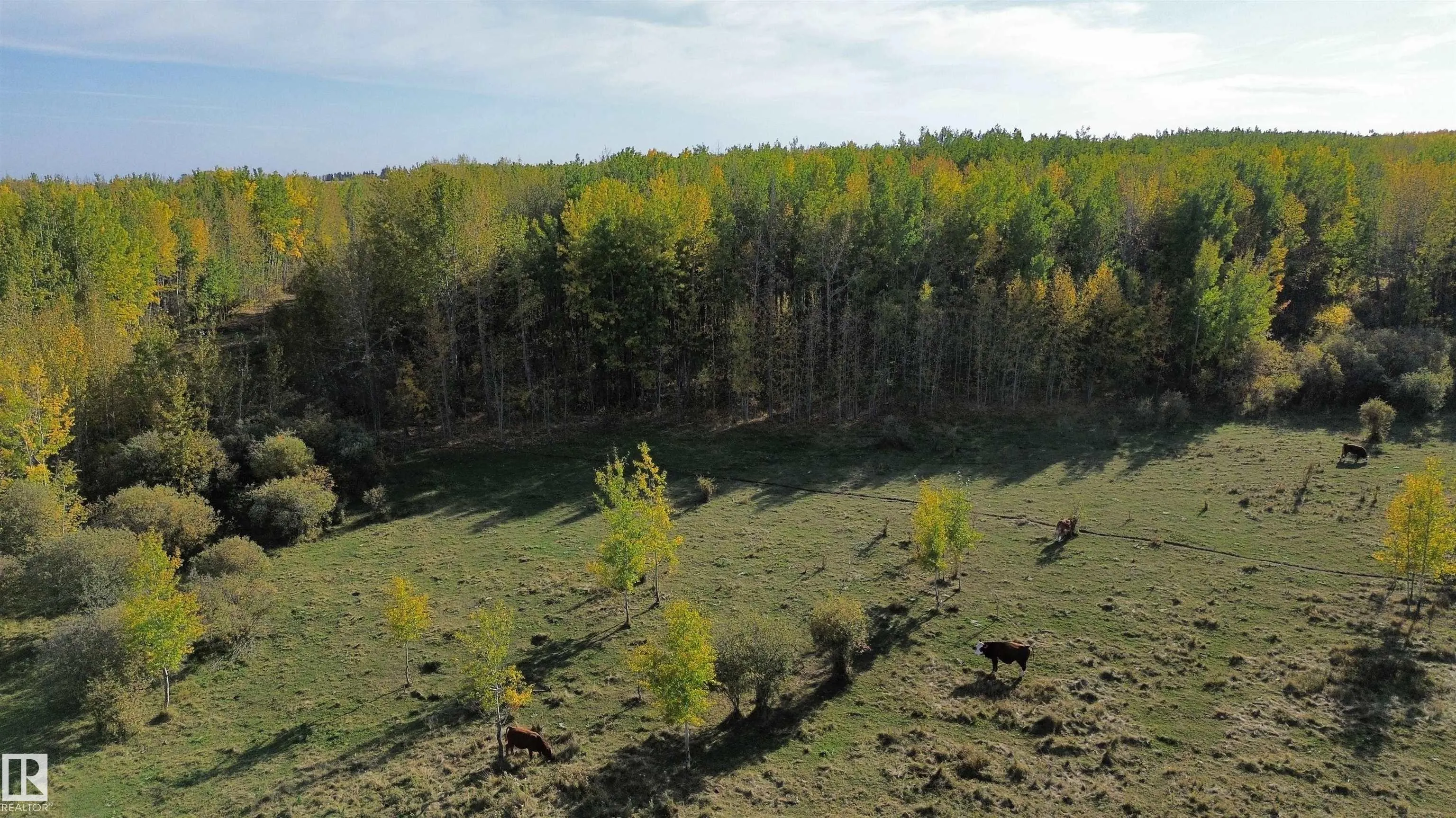 on Twp Rd 505
