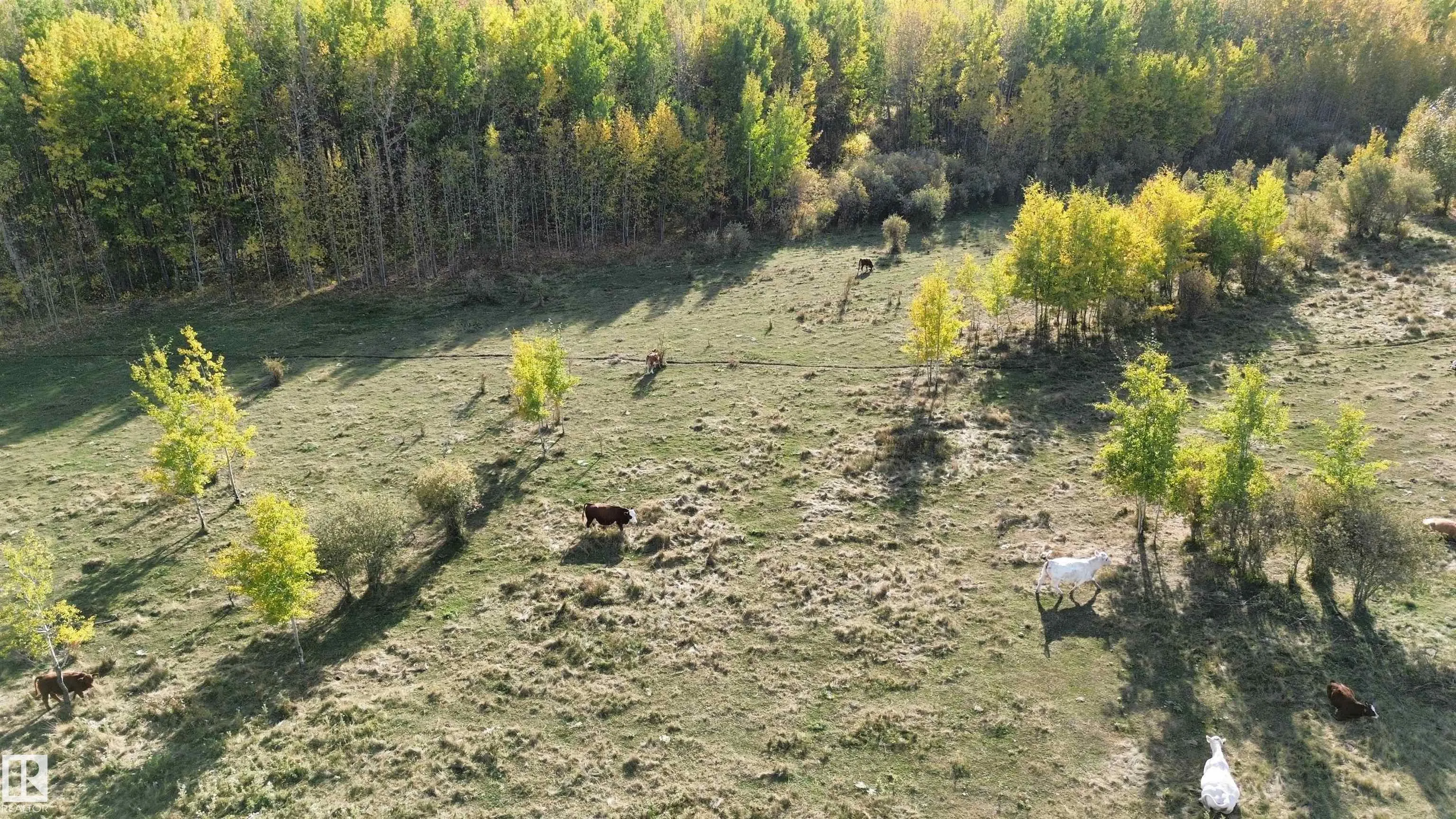 on Twp Rd 505