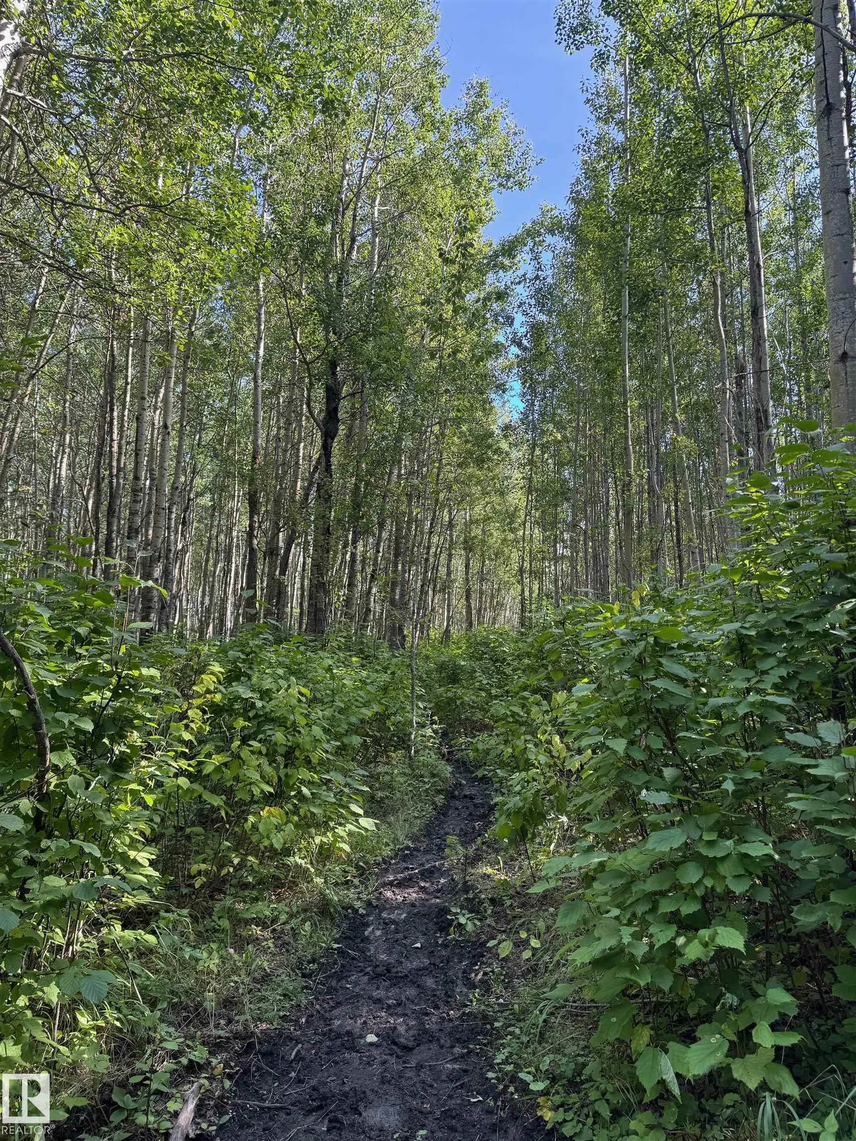 on Twp Rd 505