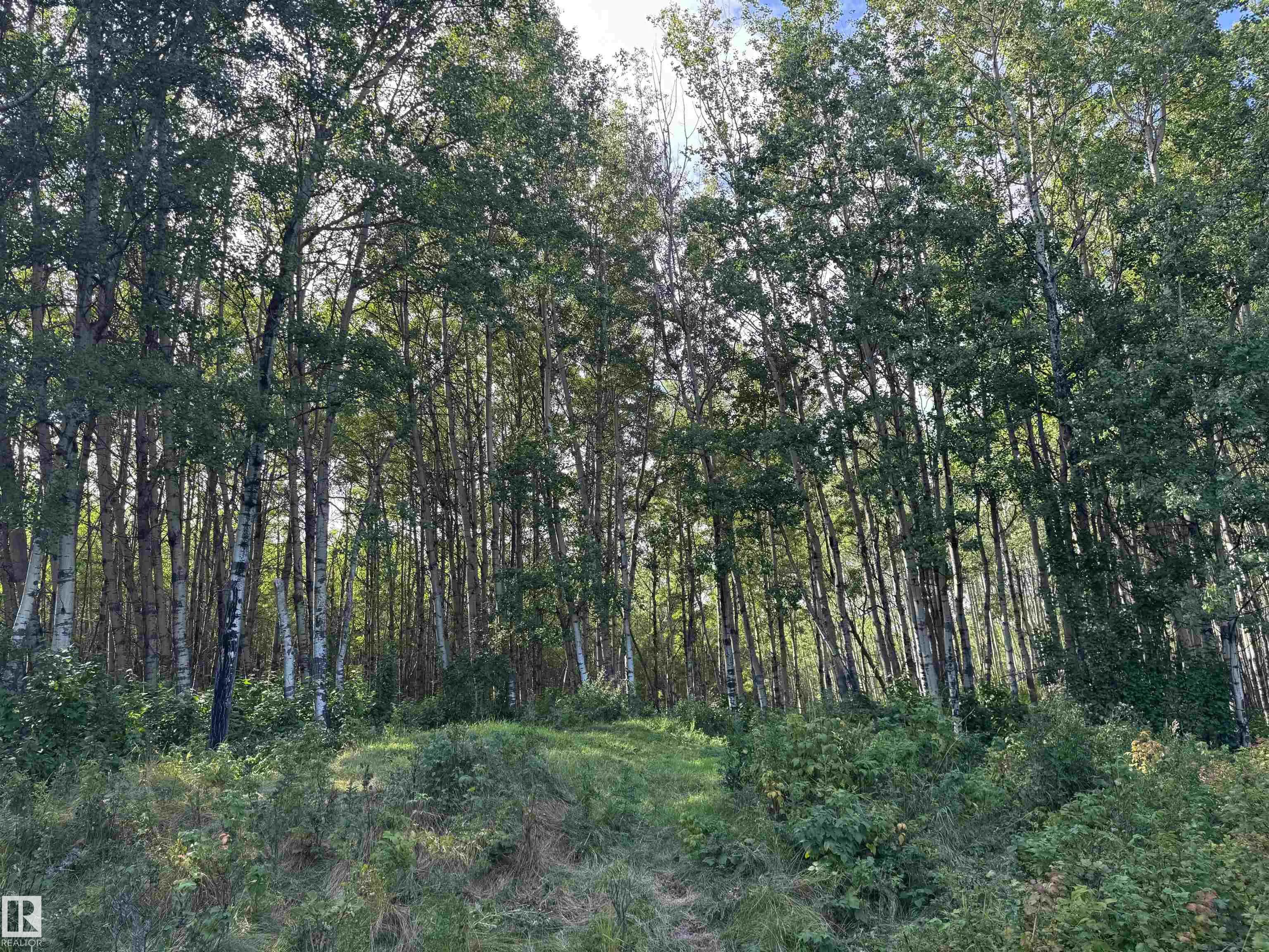on Twp Rd 505
