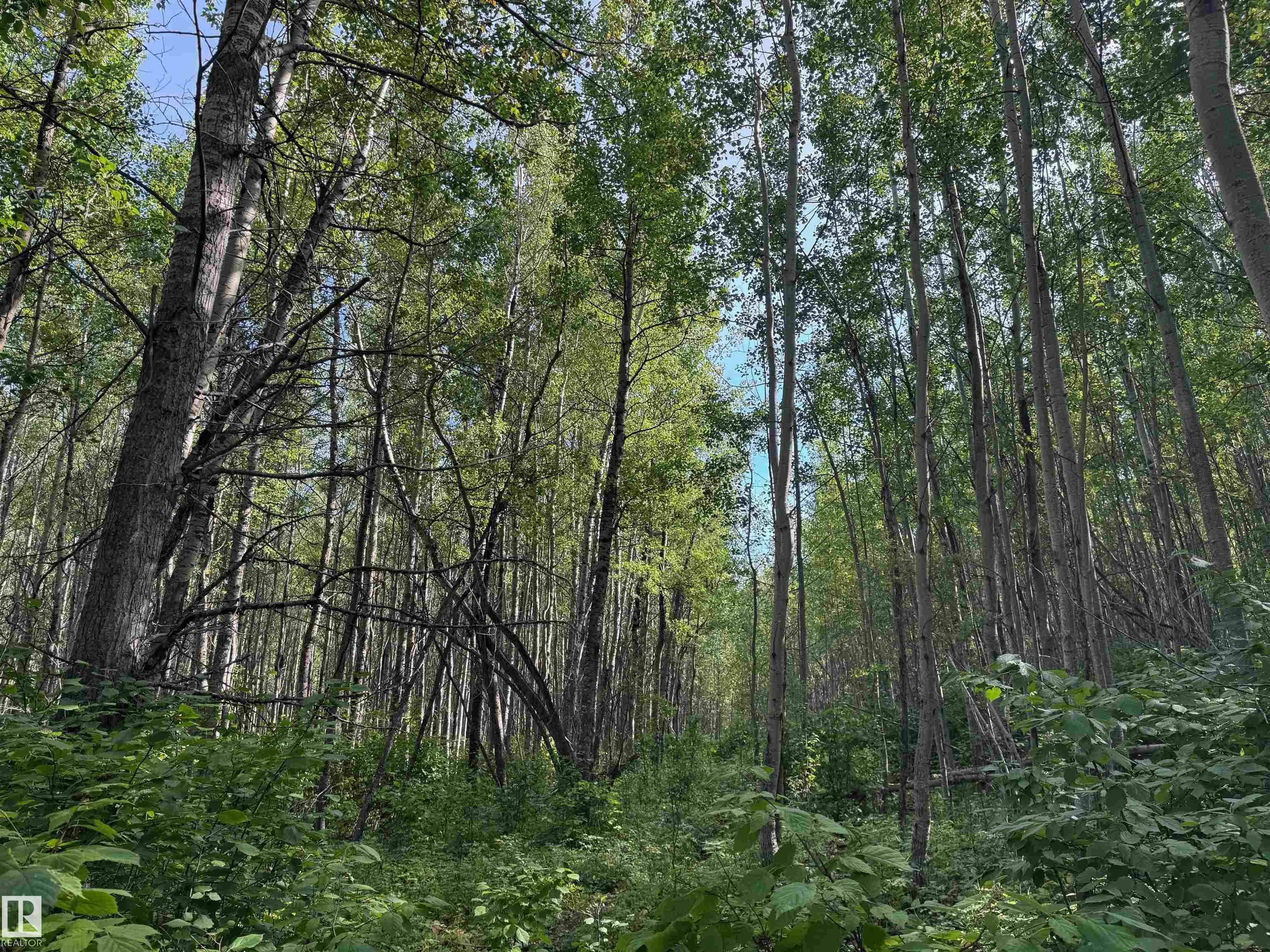 on Twp Rd 505