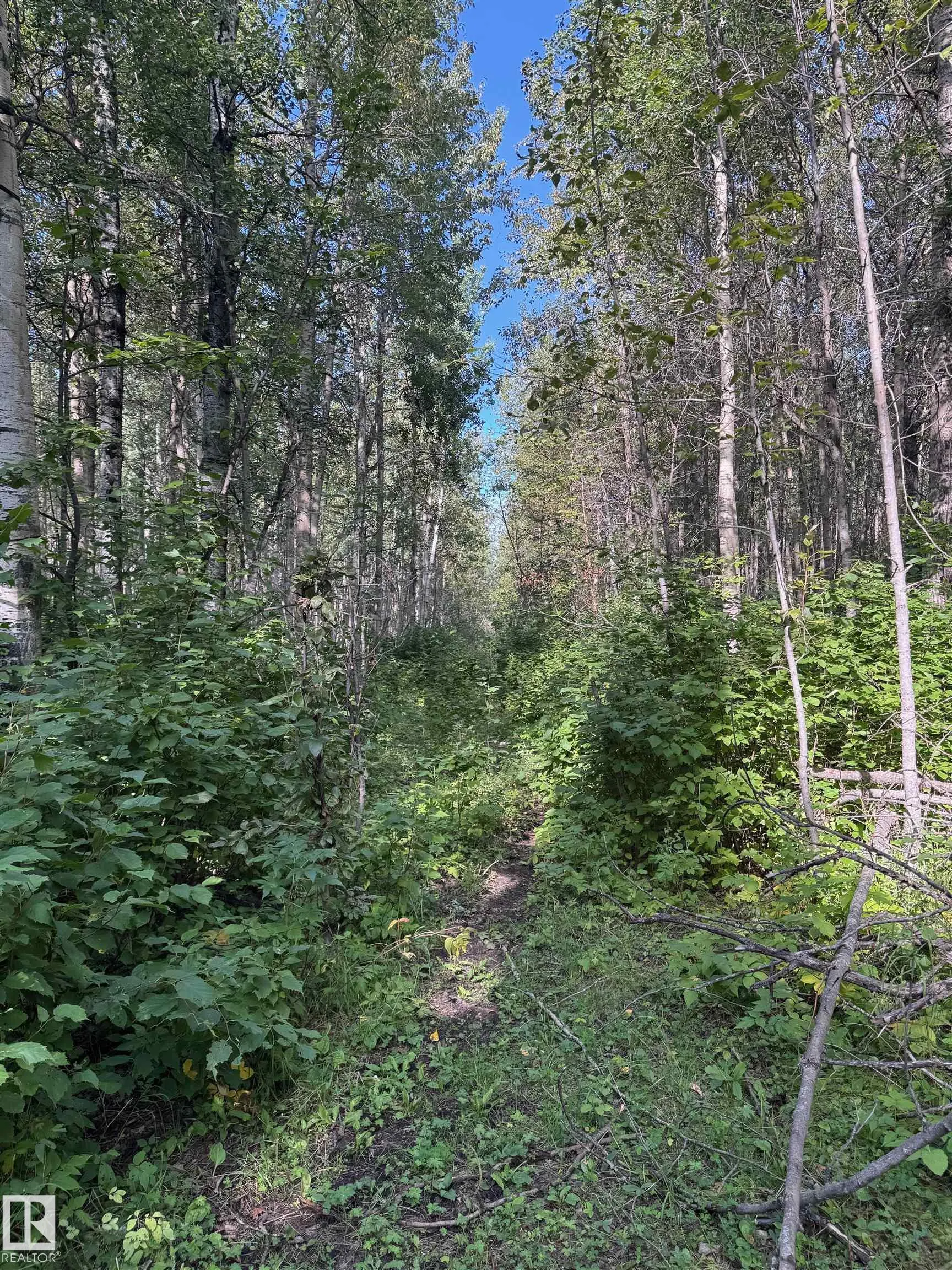 on Twp Rd 505