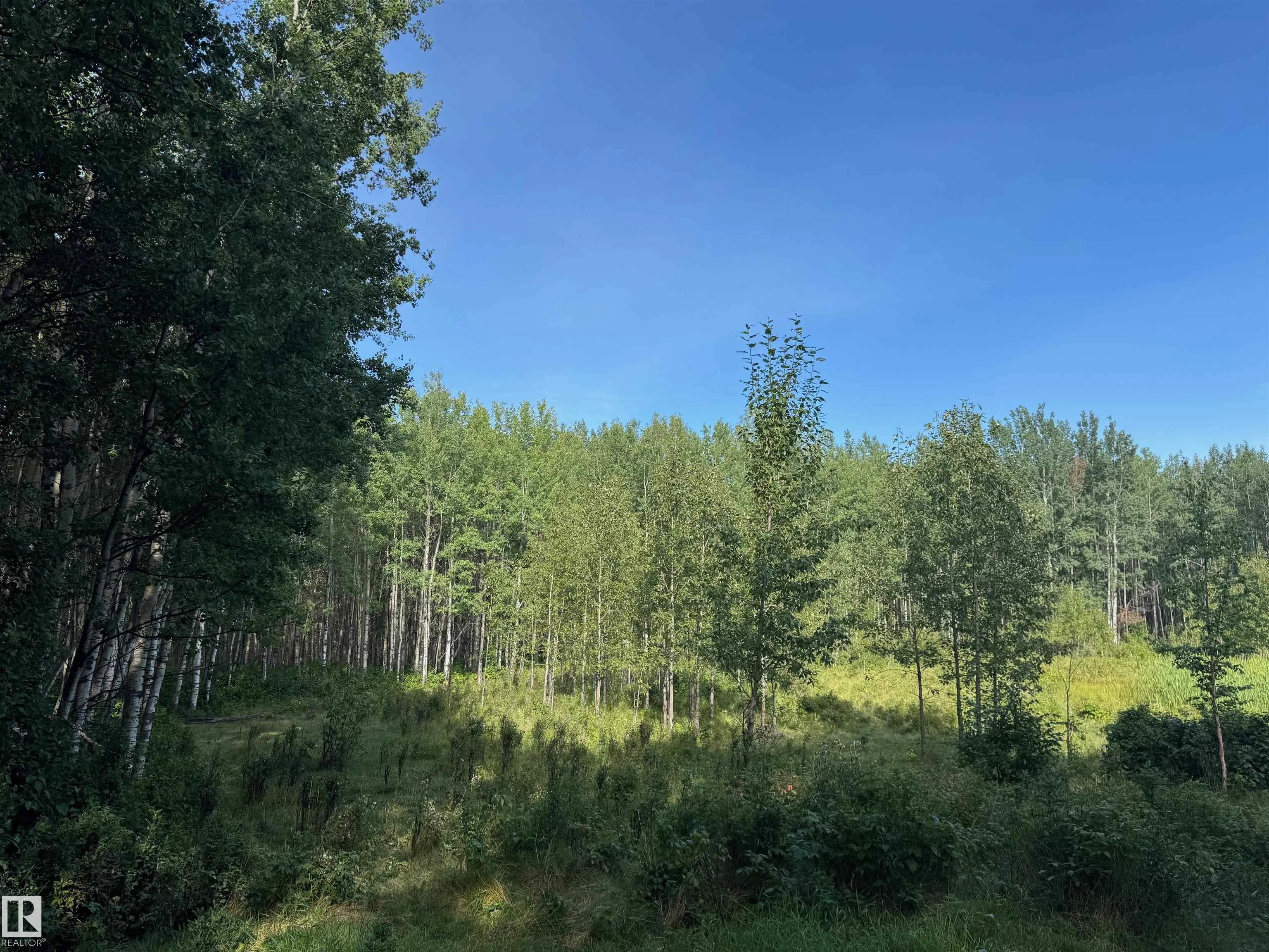 on Twp Rd 505