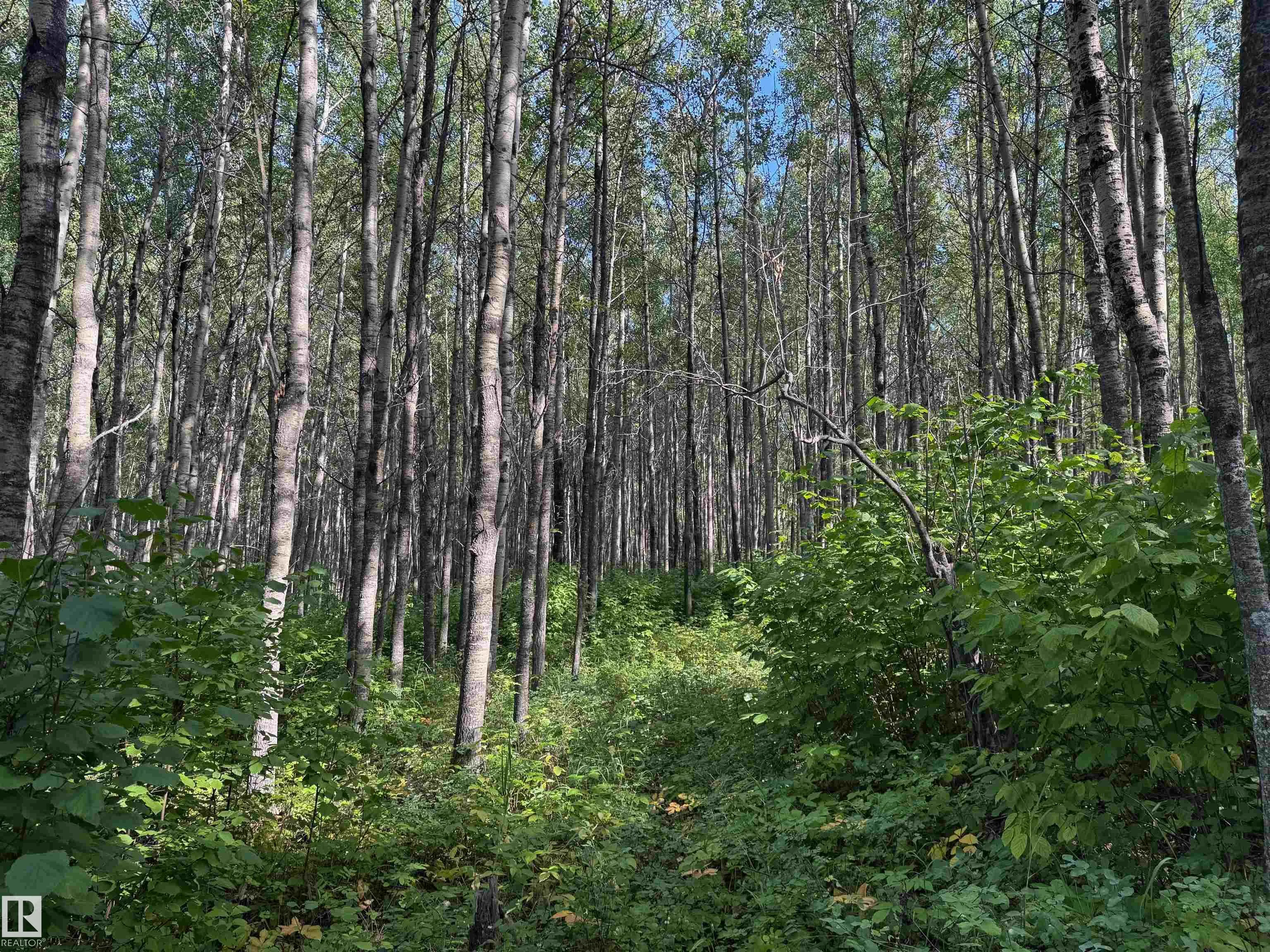 on Twp Rd 505