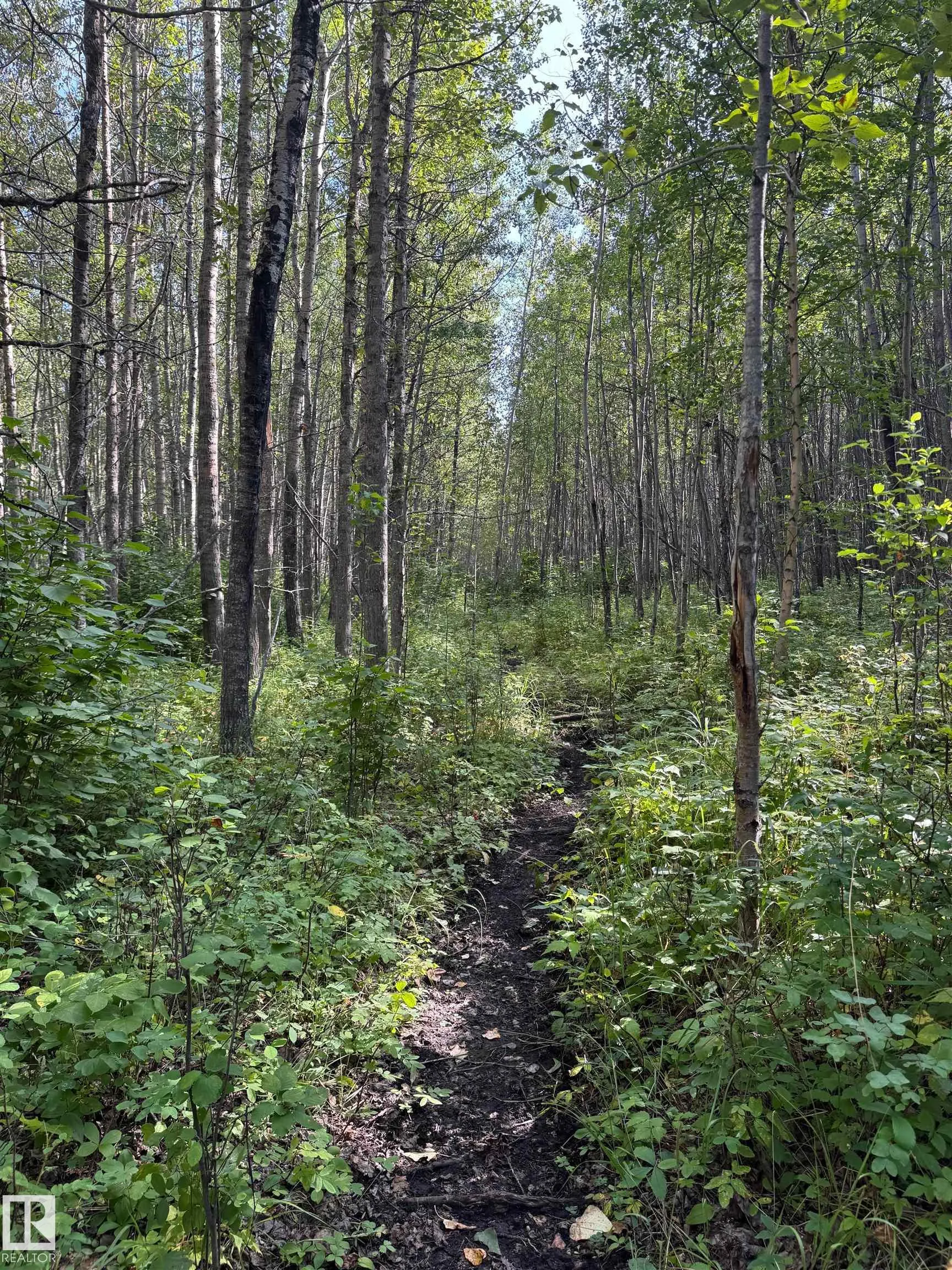 on Twp Rd 505